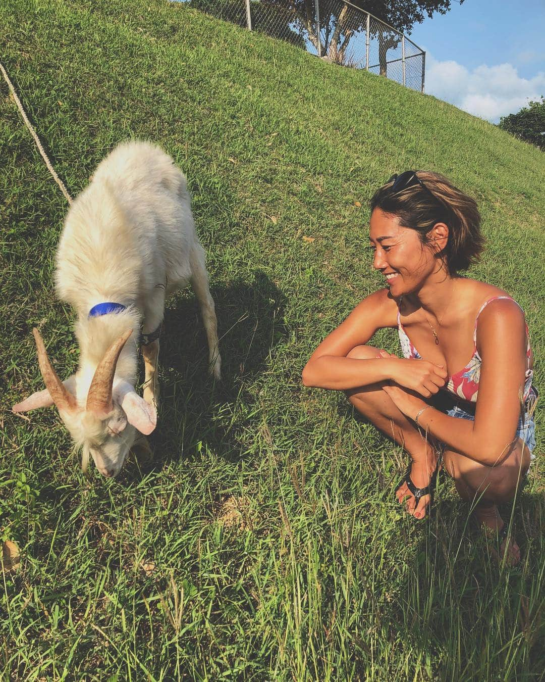 大下瞳美さんのインスタグラム写真 - (大下瞳美Instagram)「ホンマに自然がまるごとそのままの島。 何にもないけどたくさんある島。  スーパーもコンビニももちろんファーストフード店があるわけない。  楽しかったー！とい言葉よりも、 リラックスするとか力の抜き方のホントの意味がわかる島。  ある意味瞑想に近い島かもしれない。  島まるごと島サファリパーク。  自然の偉大さ、この一日中奇跡のように天候・風・海況にめぐまれました。  今日はもう北風が吹きとーぶん海はおあづけらしい。 私が来る前日も曇りでコンディションがあまりよくなかったみたい。  自然の恩恵をあまりにも受けすぎて申し訳ないくらいです。  自然に感謝はありがとう。 偉大な力に敬意を払う。 このいただいたパワーをシェアするためにヨガをとおして何ができるか考えながら今日広島へ帰ります。  ありがとうございました。  #小浜島#鳩間島#バラス島#宮古島#恩納村#石垣島#島巡り#6島#真夏#japan#ひと足お先に#ヤギ#アニマル#自然#サファリパーク#八重山諸島#ありがとう#感謝#nature #island #ひとり旅女子 #ヨガリトリート#yogaretreat #yogatech #日焼け#swimwear #beachgirl #suryoga#広島ヨガ#宮古島サップヨガ」4月15日 7時00分 - hitomiooshita