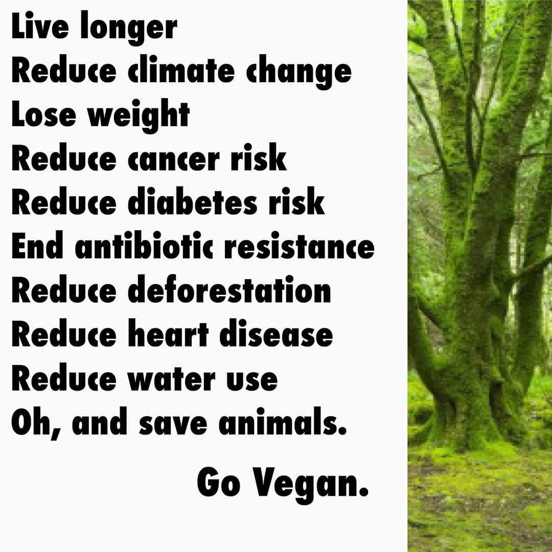 モービーさんのインスタグラム写真 - (モービーInstagram)「I’m vegan for the animals. And the climate. And the environment. And for human health. And to reduce famine. And to end antibiotic resistance.  I’m vegan because using animals for food is the single dumbest and cruelest and most self destructive thing we’ve ever done as a species.」4月15日 7時01分 - moby