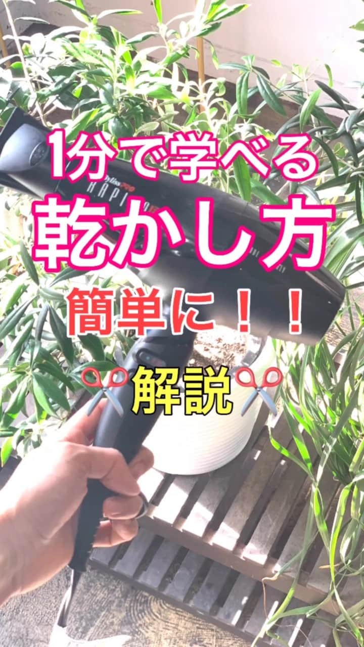 鶴谷和俊のインスタグラム：「【乾かし方】1分で学べる‼️乾かし方✂️解説  セルフバージョン  ポイント解説 ①ガシガシタオルドライせず揉み込むような感じで根元の水分をとる。 毛先も揉むような感じで水分を取りましょう。 ②ウエット用ブラシで毛先から丁寧に根元まで とかす。 ③洗い流さないトリートメントをつける。 別動画を参照ください。 ④前髪が長いので後頭部から乾かします。 前髪が短い場合は前髪から乾かしましょう。 ⑤後頭部がペッタリしやすい方は下から風をあてましょう。 ⑥顔まわりにボリュームが欲しい方は前からドライヤーをあてる。 ⑦ボリュームダウンしたい方は上から下にドライヤーをあてる。 ⑧かきあげ前髪にする場合は まずは分け目と反対から乾かしてある程度、乾いたらいつもの分け目に戻すとふんわりします。 ⑨根元がしっかり乾けば毛先を上から下に 指で挟みながら乾かします。 ⑩最後に冷風をあてて完成。  是非‼️参考にしてくださいね🥴」