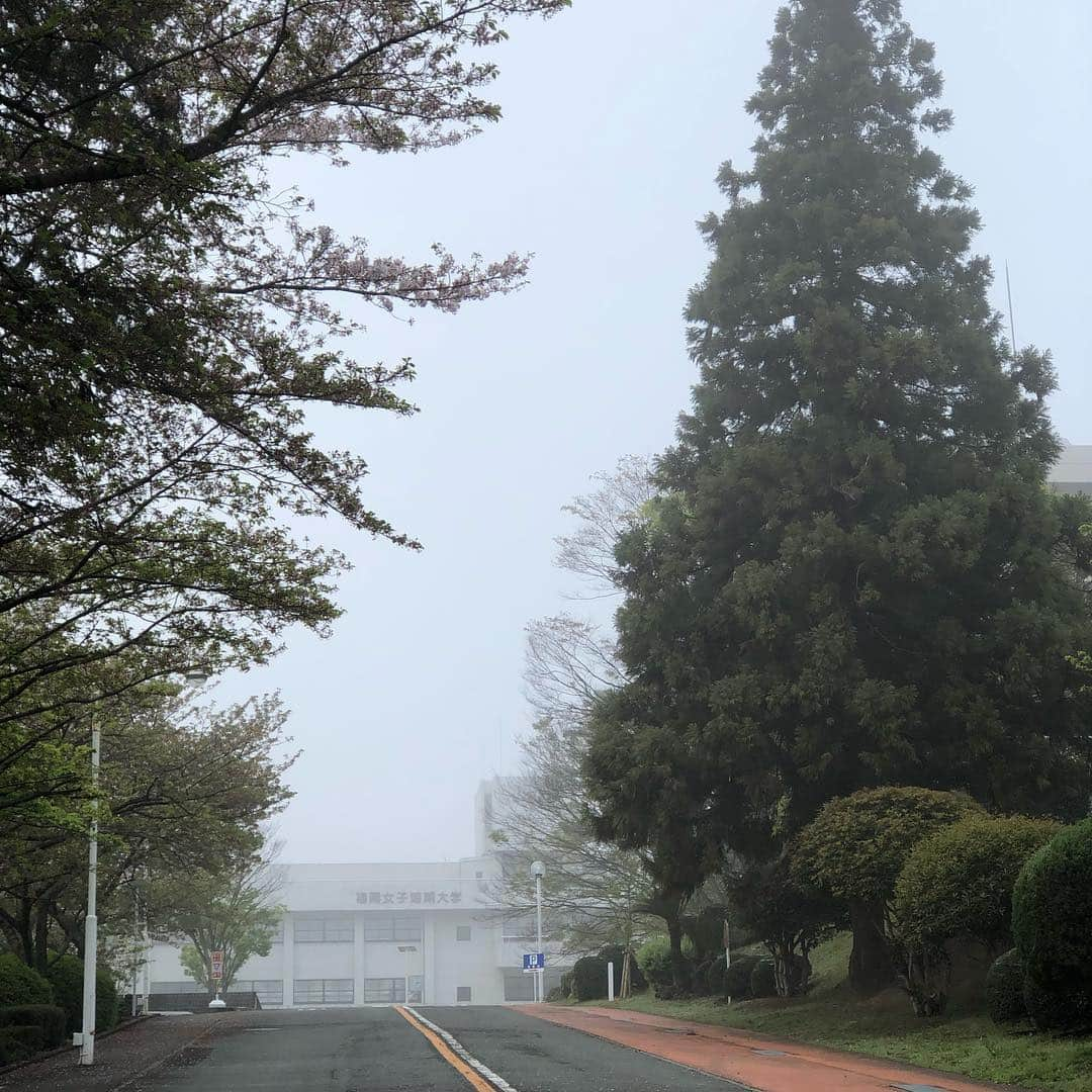 福岡女子短期大学さんのインスタグラム写真 - (福岡女子短期大学Instagram)「@福岡女子短期大学 . おはようございます。福岡女子短期大学です。 . 今朝の太宰府は肌寒く、キャンパス内には霧がかかっています。濃い霧なので交通機関🚊にも影響が出る可能性🚪があります。時間に余裕をもってお過ごしください🌱 . 今週も1週間頑張りましょう✨ . #福岡女子短期大学 #福女短 #濃霧 #霧 #太宰府 #fwjc #天気 #今朝 #朝の風景 #真っ白 #キャンパス #4月15日 #寒い #肌寒い #通勤 #通学 #朝活 #福岡の女子短期大学 #学校 #校舎 #窓ガラス #窓からの景色 #大学 #短期大学 #短大 #福岡写真部 #福岡 #福岡県 #太宰府市 #朝時間 . ========[ 資料請求 ]======== ． 新しい福岡女子短期大学の資料請求（2020大学案内）を無料送付中です。本学ホームページからお気軽に申し込みください。 . 子ども学科/健康栄養学科 音楽科/文化教養学科 ． 福岡女子短期大学 住所：‪‪福岡県太宰府市五条四丁目16番1号‬‬ tel：‪‪092-922-4034‬‬（代表） . =========================」4月15日 7時43分 - fukuoka_wjc