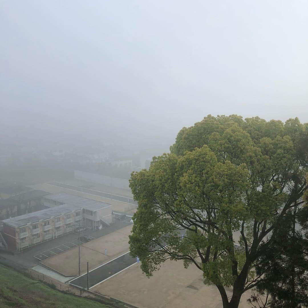 福岡女子短期大学さんのインスタグラム写真 - (福岡女子短期大学Instagram)「@福岡女子短期大学 . おはようございます。福岡女子短期大学です。 . 今朝の太宰府は肌寒く、キャンパス内には霧がかかっています。濃い霧なので交通機関🚊にも影響が出る可能性🚪があります。時間に余裕をもってお過ごしください🌱 . 今週も1週間頑張りましょう✨ . #福岡女子短期大学 #福女短 #濃霧 #霧 #太宰府 #fwjc #天気 #今朝 #朝の風景 #真っ白 #キャンパス #4月15日 #寒い #肌寒い #通勤 #通学 #朝活 #福岡の女子短期大学 #学校 #校舎 #窓ガラス #窓からの景色 #大学 #短期大学 #短大 #福岡写真部 #福岡 #福岡県 #太宰府市 #朝時間 . ========[ 資料請求 ]======== ． 新しい福岡女子短期大学の資料請求（2020大学案内）を無料送付中です。本学ホームページからお気軽に申し込みください。 . 子ども学科/健康栄養学科 音楽科/文化教養学科 ． 福岡女子短期大学 住所：‪‪福岡県太宰府市五条四丁目16番1号‬‬ tel：‪‪092-922-4034‬‬（代表） . =========================」4月15日 7時43分 - fukuoka_wjc