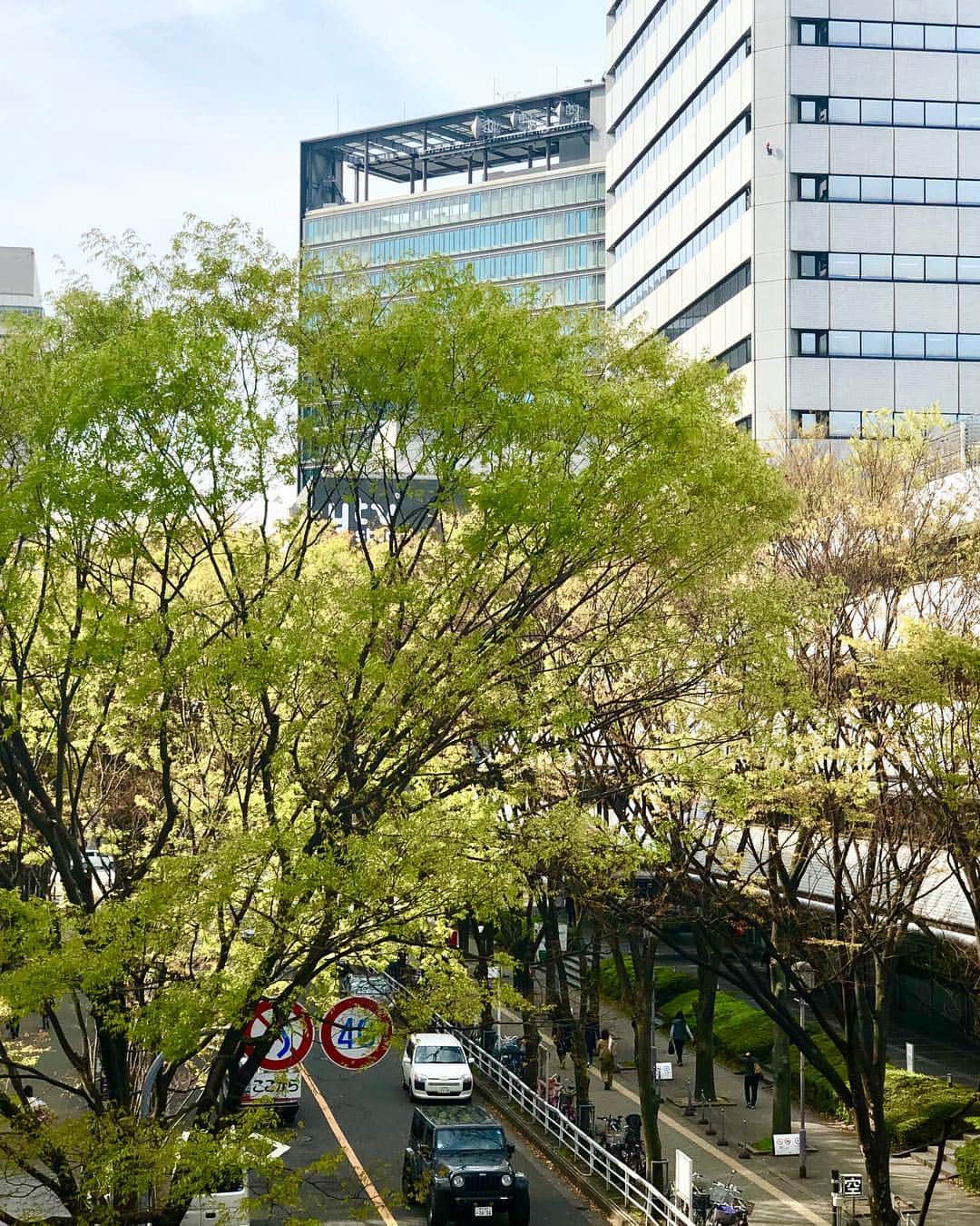 読売テレビ「かんさい情報ネットten.」のインスタグラム