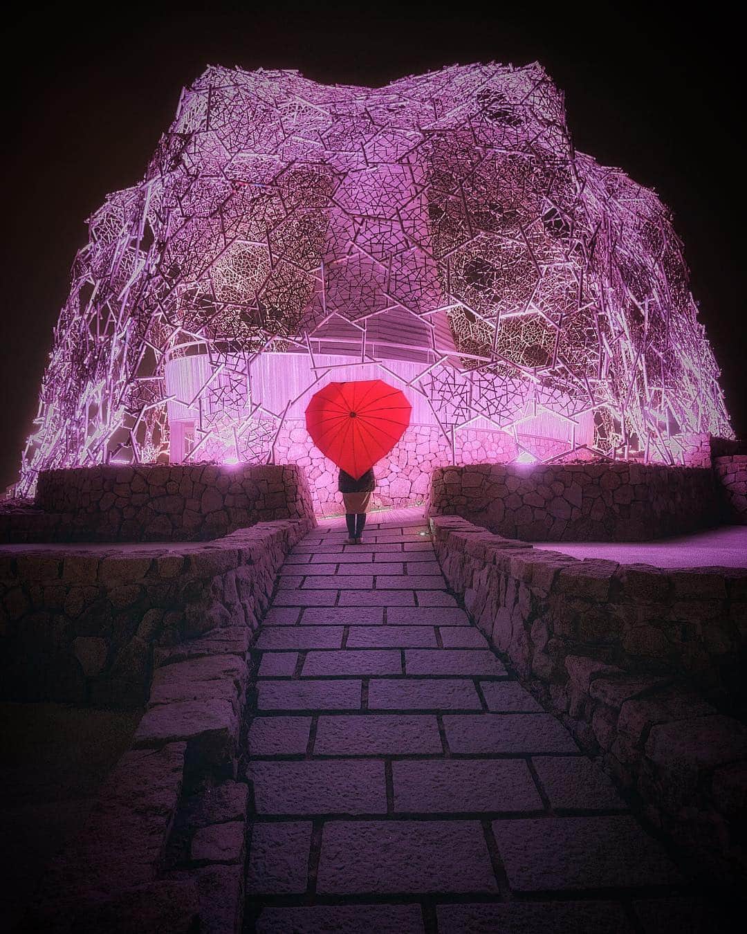 コサのグルメインスタ