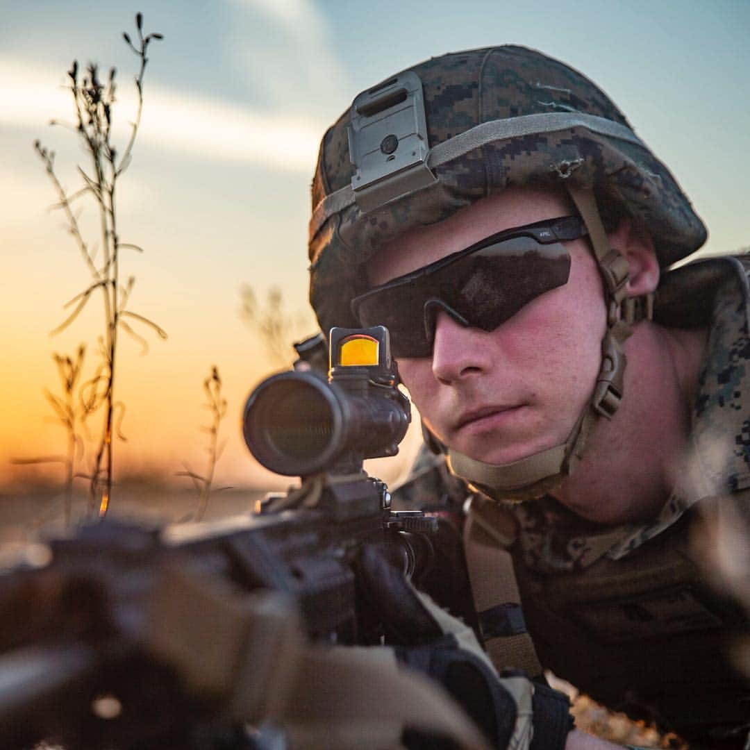 アメリカ海兵隊さんのインスタグラム写真 - (アメリカ海兵隊Instagram)「In The Weeds  Lance Cpl. Thomas Hurley with Battalion Landing Team 3/5, @pride_of_the_pacific, provides security during an airfield seizure training mission in Yuma, Arizona. (U.S. Marine Corps photo by Lance Cpl. Dalton S. Swanbeck)  #USMC #Marines #MarineLife #Marine #MarineCorps #Military #Training #Yut #Shoot #MilitaryWeapons #Weapons #Yuma #Arizona #InTheField #FieldLife #Moto #Motivation #Rah #Yut #SemperFi」4月15日 8時55分 - marines