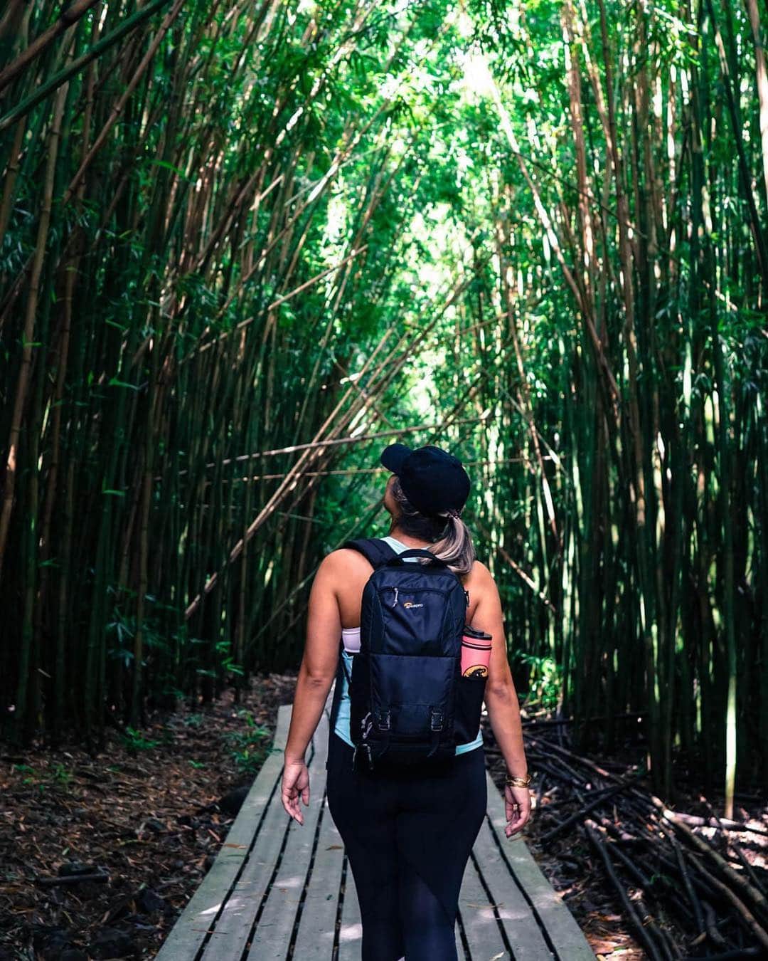 ハワイアン航空さんのインスタグラム写真 - (ハワイアン航空Instagram)「京都・嵐山の竹林に見えますが、  #マウイ島 のピピワイ・トレイルです👟 #バンブーフォレスト に入ると一瞬にして日本にいるかのような感覚になります。」4月15日 8時59分 - hawaiianairlinesjp