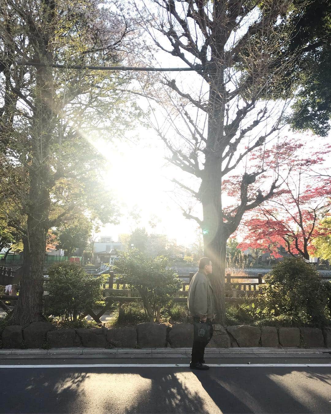 坂本美雨さんのインスタグラム写真 - (坂本美雨Instagram)「のろのろと暮らしていると やっぱり一週間がゆっくり。」4月15日 9時16分 - miu_sakamoto