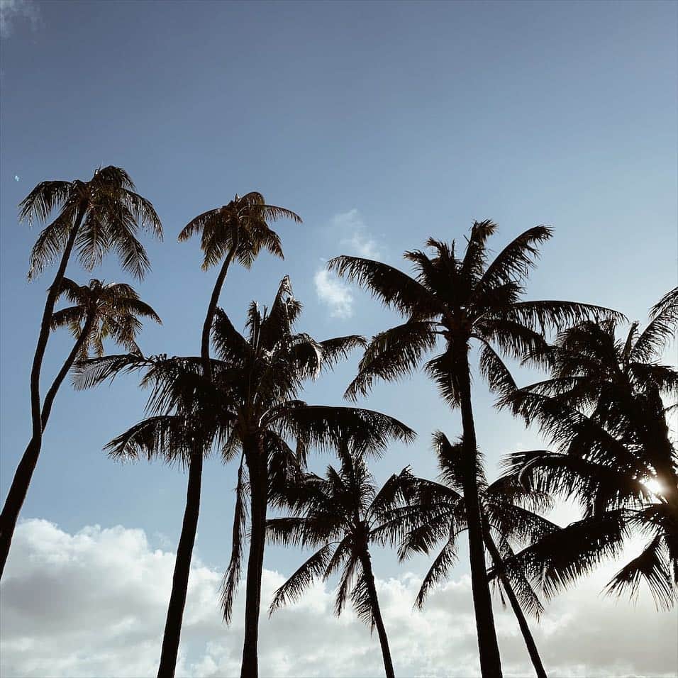 春名亜美さんのインスタグラム写真 - (春名亜美Instagram)「今日はお友達宅でBBQ🍖 楽しみ〜😋 ・ ・ ・ #Hawaii #ハワイ #palmtree #palm #hawaiilife #ハワイ暮らし #ハワイ生活 #ハワイライフ」4月15日 9時22分 - amiharunaami