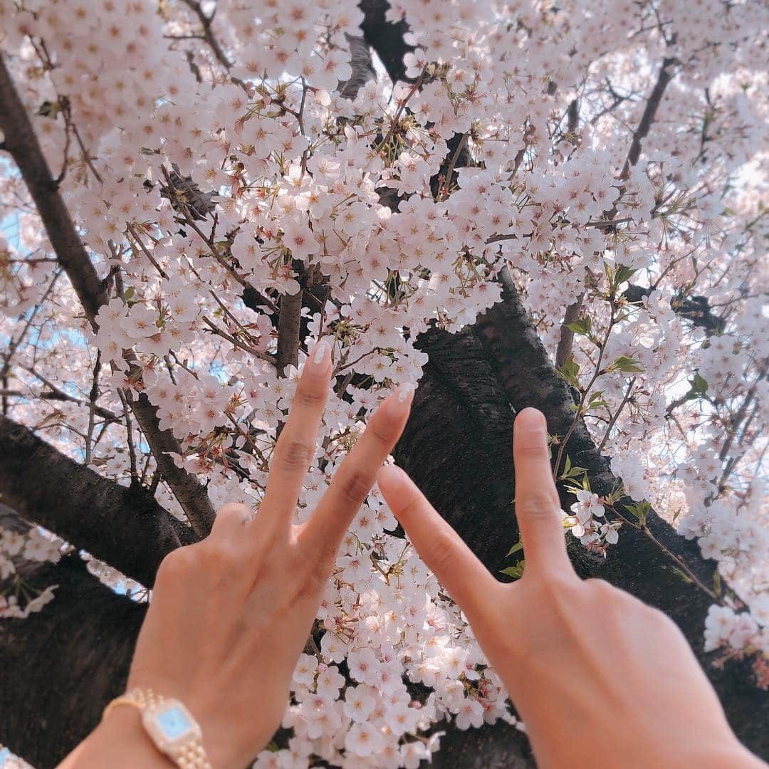 MALIAさんのインスタグラム写真 - (MALIAInstagram)「入学式🌸始業式🌸 娘さん、中学校入学しました🏫💕 . 毎朝送ってるんだけど、 いってきまーす👋🏽💕 って言いながら行っちゃって 振り返りもしないで真っしぐらwww . 学校がとにかく楽しくて楽しくて クラスの全員が ビックリする程仲良しなんだって💕 . 新しい学校に、真新しい制服に、 にこにこ、うきうき笑顔の娘を見て 私もとっても嬉しい気分です💘💓 . #娘が中学校に入学しました🌸 #春っていいね #newstart #あんまりにも忙しくて #久しぶりの投稿になりました #始業式 #始まって #怒涛の1週間」4月15日 9時41分 - maliarehman