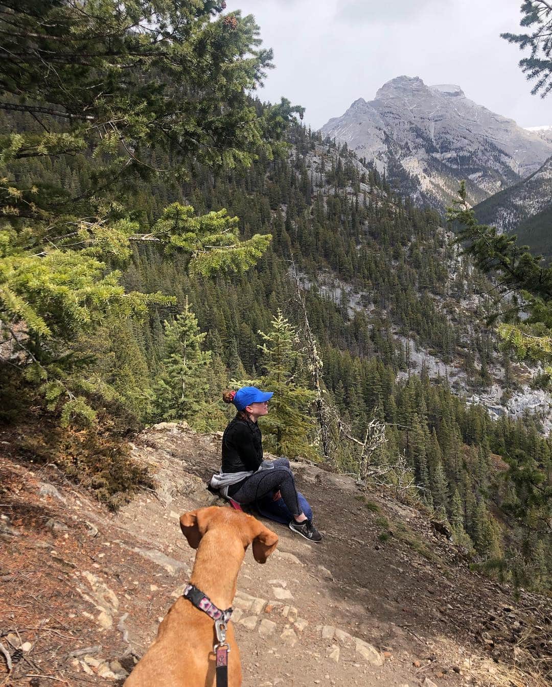 ヘイリー・ベルさんのインスタグラム写真 - (ヘイリー・ベルInstagram)「After a year I finally made it back to the mountains for a little hike with my two favourite girls! . . . . #mountladymacdonald #canmore #hike #explorealberta #dogsofinstagram」4月15日 10時06分 - hayleighbell
