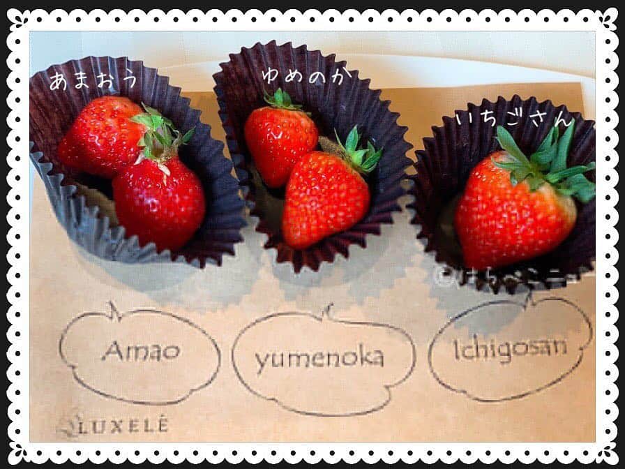 野山苺摘（グルメライター・グルメ探偵）のグルメインスタ