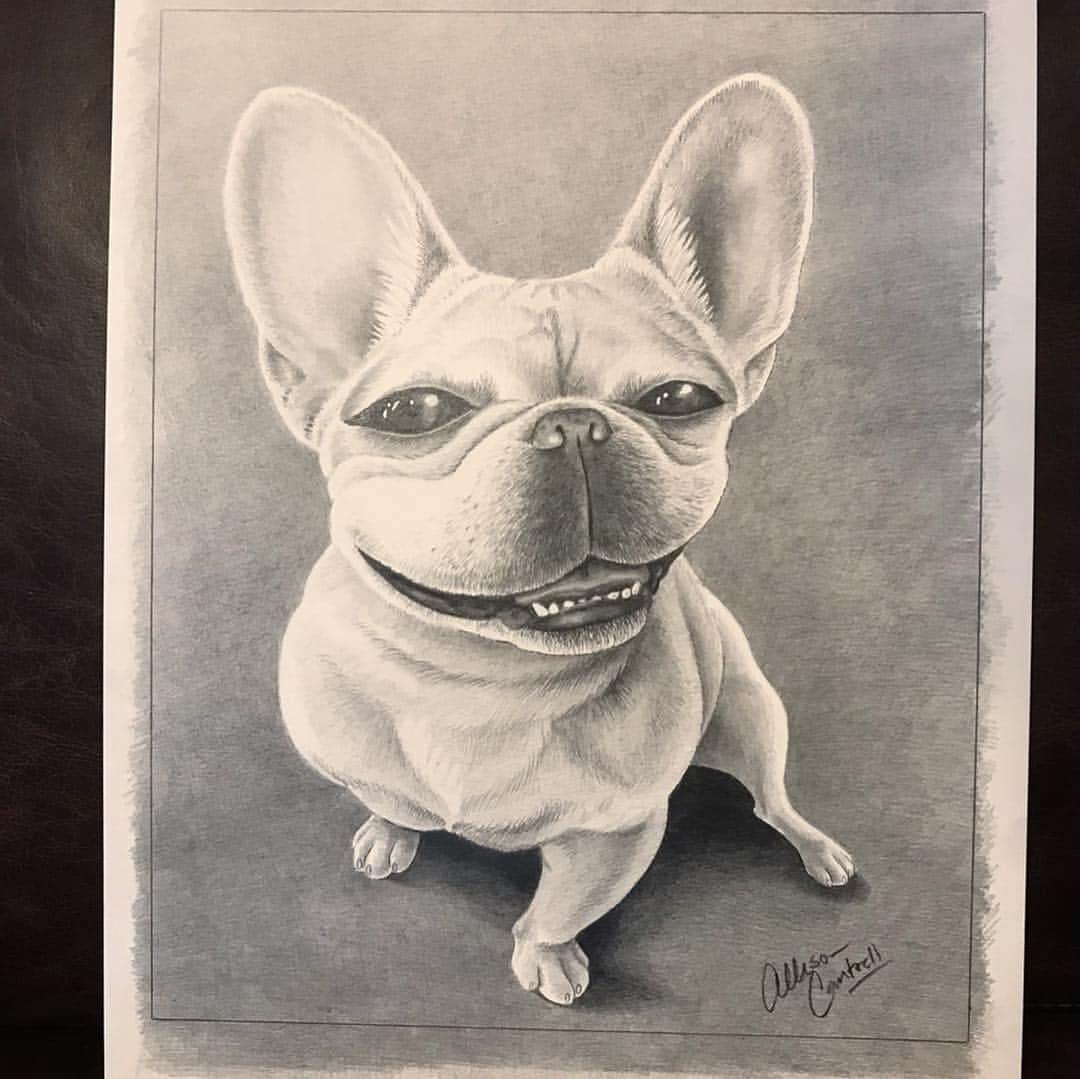 Hamlinさんのインスタグラム写真 - (HamlinInstagram)「I must say, @bunnypigportraits did a fantastic job with my self portrait. Never has a turkey leg looked so good in pencil on drawing paper. Thank you for the wonderful artwork that will soon hang on our wall! Use the code “hamlin15” that will give you 15% off your order - this goes for prints, coffee mugs and more! .......... #bunnypigportraits #dogart」4月15日 11時13分 - hamlin_the_frenchie