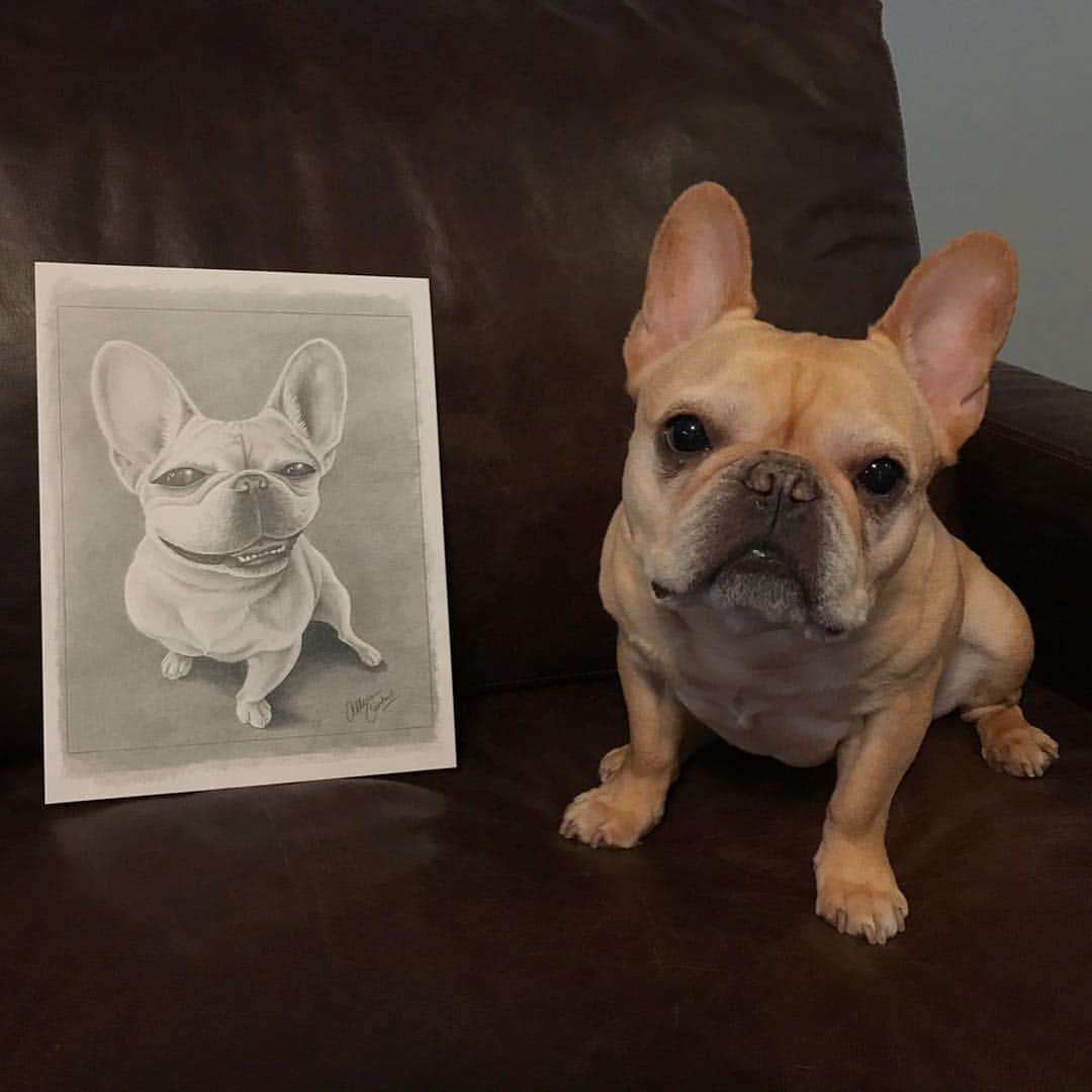 Hamlinのインスタグラム：「I must say, @bunnypigportraits did a fantastic job with my self portrait. Never has a turkey leg looked so good in pencil on drawing paper. Thank you for the wonderful artwork that will soon hang on our wall! Use the code “hamlin15” that will give you 15% off your order - this goes for prints, coffee mugs and more! .......... #bunnypigportraits #dogart」
