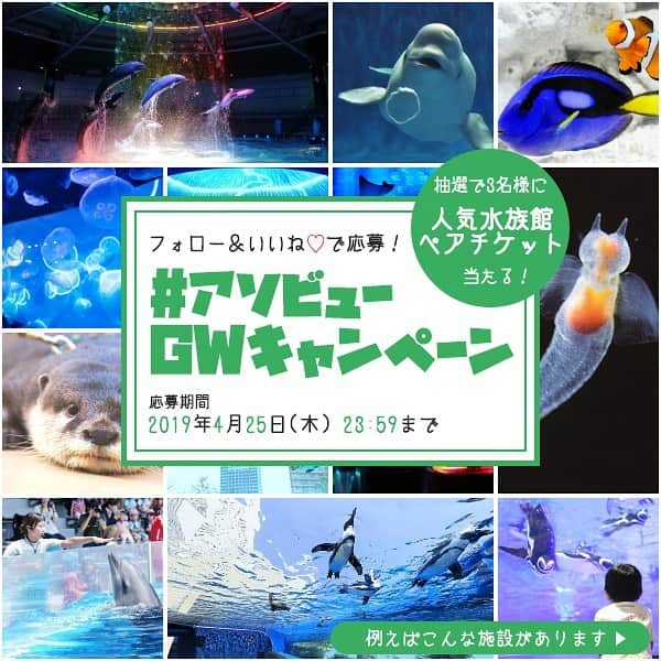 asoview! さんのインスタグラム写真 - (asoview! Instagram)「🐬🐟🐠アソビューGWおでかけキャンペーン🐡🐳🐙 フォロー&いいねでGWに使える水族館ペアチケットが当たる！ . いつもasoview!のインスタを見てくださってありがとうございます♪ いよいよ春本番！おでかけの楽しい季節になってきましたね🌸 そしていよいよ迫った大型連休GW！！ 今回はそんなGWのおでかけで使える水族館ペアチケットを3名様にプレゼント！ このチケットがあればチケット購入の行列に並ばずに入れるのもポイントです👀 . asoview!のアカウント（ @asoview ）をフォローし、 開催期間中の投稿（いずれか一つでも全部でもOK🏄）に「いいね」をするだけで応募完了！ 1いいねで一口なのでいいねが多いほうが当選確率があがるかも？！ . 🐳🐙🐡全国7施設で使える水族館ペアチケットを抽選で3名様にプレゼントいたします🐬🐠🐟 . ＜参加方法＞ STEP1👉　asoview!のアカウント ( @asoview) をフォロー STEP2👉　開催期間中の投稿（いずれか一つでも全部でもOK🏄）に「いいね」をするだけ . ＜募集期間＞ 2019年4月15日(月)～2019年4月25日(木)23:59 . ＜プレゼント＞ 全国7施設で利用できるasoview!GIFT Aquarium TICKET（水族館ペアチケット）×3名様 . ＜利用できる水族館＞ サンシャイン水族館 すみだ水族館 マクセルアクアパーク品川 新江ノ島水族館 京都水族館 島根県立しまね海洋館アクアス 横浜・八景島シーパラダイス . ＜当選者さまへのご連絡＞ 4月26日（金）頃に@asoviewのStoriesおよびDMにて発表 . ＜ご参加にあたっての注意事項＞ ・アカウントを非公開設定にしている方は選考対象外です。 ・企業アカウントからのご応募は選考対象外です。 ・フォローしていただいていて、かつ日本国内在住の方が対象となります。 ・本キャンペーンは、Instagramによる主催ではありません。  それでは、みなさんからのご応募お待ちしております🙌」4月15日 11時41分 - asoview