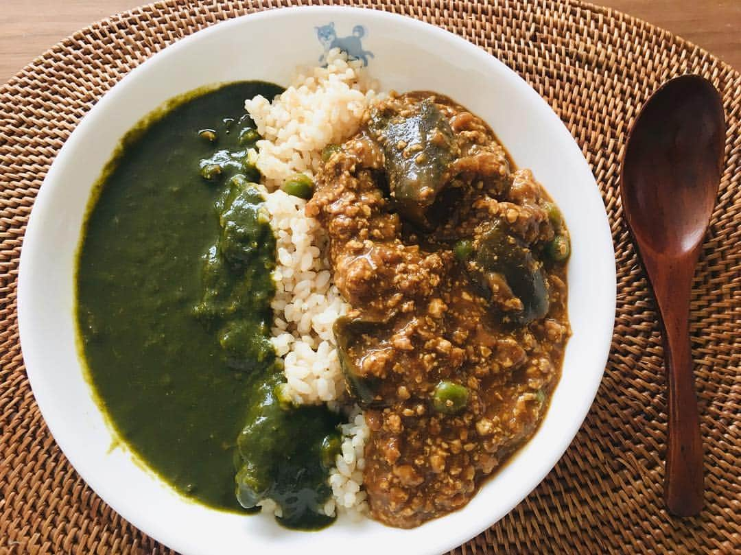 佐藤仁美さんのインスタグラム写真 - (佐藤仁美Instagram)「ほうれん草カレーとキーマカレー。美味しくできたンゴ。 #ほうれん草カレー #初めて作った #思いのほか簡単だった #キーマカレー #キーマは #鶏ひき肉と豆腐 #ご飯は #ロウカット玄米」4月15日 12時44分 - sato.hitomi.19791010