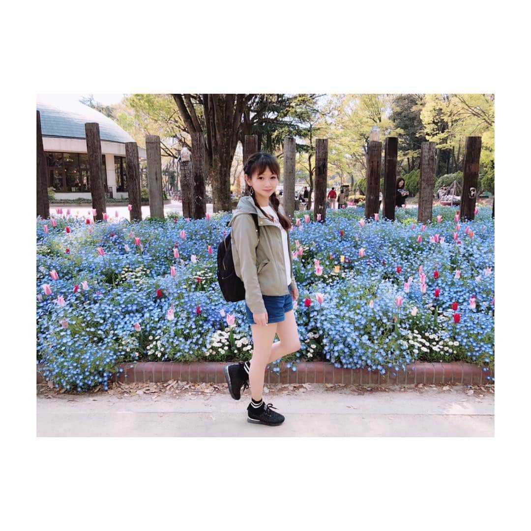 小河結香さんのインスタグラム写真 - (小河結香Instagram)「お花が綺麗すぎた🐝💕 #お散歩 #小春日和 #名城公園」4月15日 13時01分 - yun2world