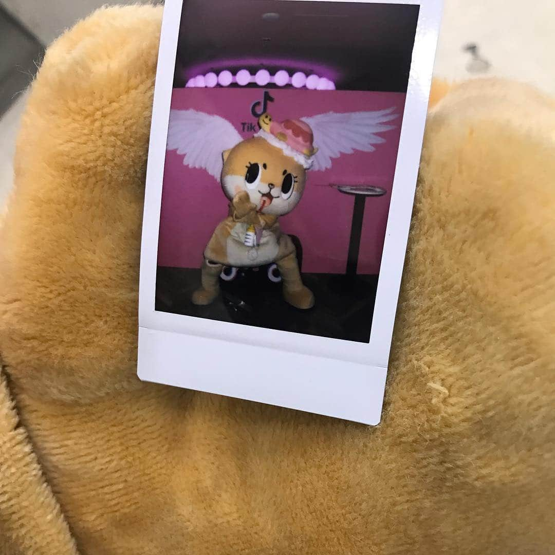 ちぃたん☆さんのインスタグラム写真 - (ちぃたん☆Instagram)「今日のチェキちゃん達ですっ☆ちぃたん☆的には真ん中派ですっ☆  #challenge #challenger #challenges  #adventure #adventuretime #dream#mascot #character #characterdesign #japon #japan #japanese #japanesefood #furry #mad  #japanesetattoo #doll #plushdoll #activity #toys #instagood #instalike #tbt」4月15日 13時08分 - chiitan7407