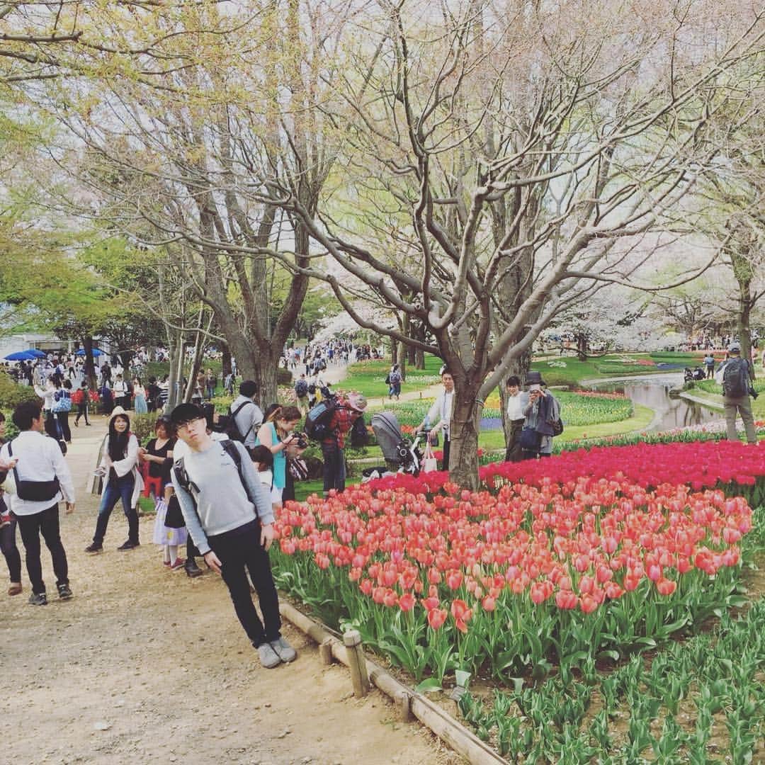 のインスタグラム：「#お花見」