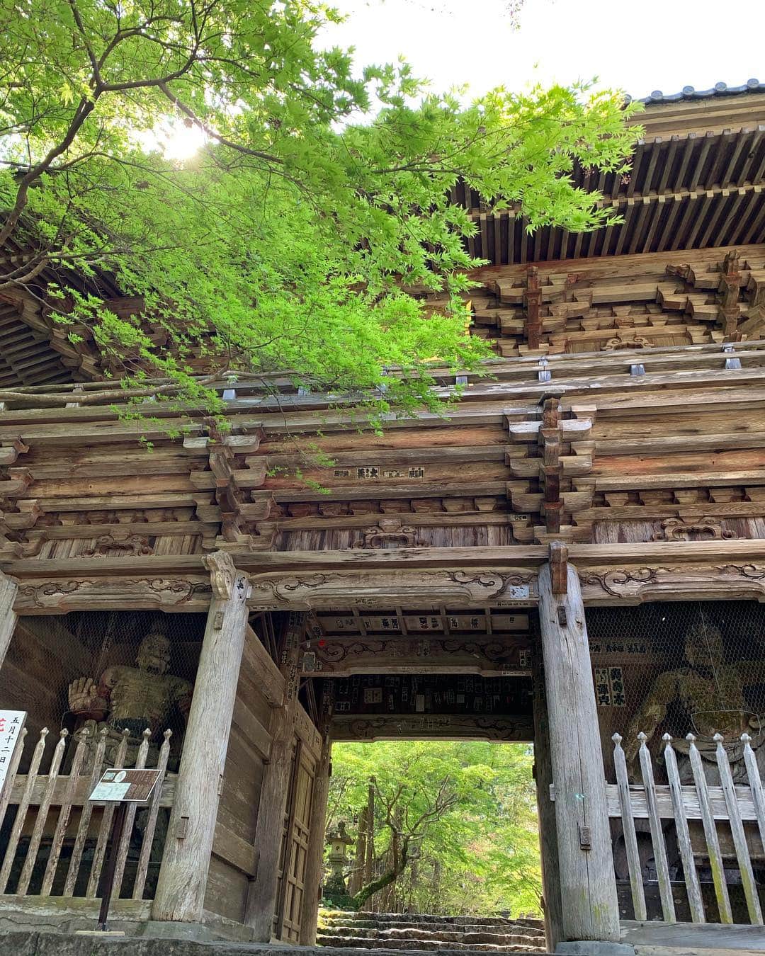 あゆむさんのインスタグラム写真 - (あゆむInstagram)「#高知 の #五台山 は #竹林寺  日本三文殊の一つとされ、四国八十八箇所の31番礼所のお寺  地元から近いからこそ最後に来たの遠足ぶりかも。大人になって来ると、こんなにも景色が違って見えるもんながやね。歴史と趣があるまさに小京都。  近くに高知市街が一望できる展望台もあり、夜景も綺麗ながよ  あゆむんが食べゆうがは高知名物アイスクリン！ アイスクリームとも違うとにかく高知でしか味わえないシャーベットの様なアイス！  #ゆず活 #高知観光  #四国八十八箇所」4月15日 13時23分 - aym_lml