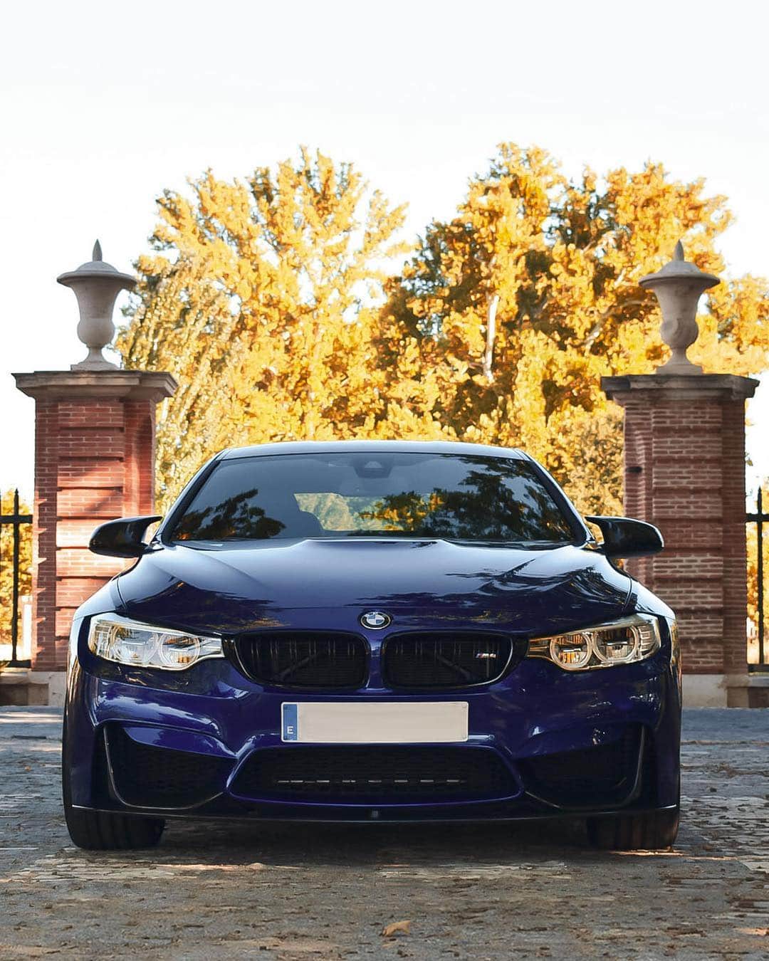 BMWのインスタグラム：「Driven by something different. The BMW M4 Competition Sport special edition was offered exclusively in Spain. #BMWrepost @wheelworks.media #BMW #M4 #BMWM __ BMW M4 CS: Fuel consumption in l/100 km (combined): 8.4. CO2 emissions in g/km (combined): 197. The values of fuel consumptions CO2 emissions and energy consumptions shown were determined according to the European Regulation (EC) 715/2007 in the version applicable at the time of type approval. The figures refer to a vehicle with basic configuration in Germany and the range shown considers optional equipment and the different size of wheels and tires available on the selected model. The values of the vehicles are already based on the new WLTP regulation and are translated back into NEDC-equivalent values in order to ensure the comparison between the vehicles. With respect to these vehicles for vehicle related taxes or other duties based (at least inter alia) on CO2-emissions the CO2 values may differ to the values stated here. The values of the vehicles are preliminary. The CO2 efficiency specifications are determined according to Directive 1999/94/EC and the European Regulation in its current version applicable. The values shown are based on the fuel consumption CO2 values and energy consumptions according to the NEDC cycle for the classification. For further information about the official fuel consumption and the specific CO2 emission of new passenger cars can be taken out of the „handbook of fuel consumption the CO2 emission and power consumption of new passenger cars“ which is available at all selling points and at https://www.dat.de/angebote/verlagsprodukte/leitfaden-kraftstoffverbrauch.html.」