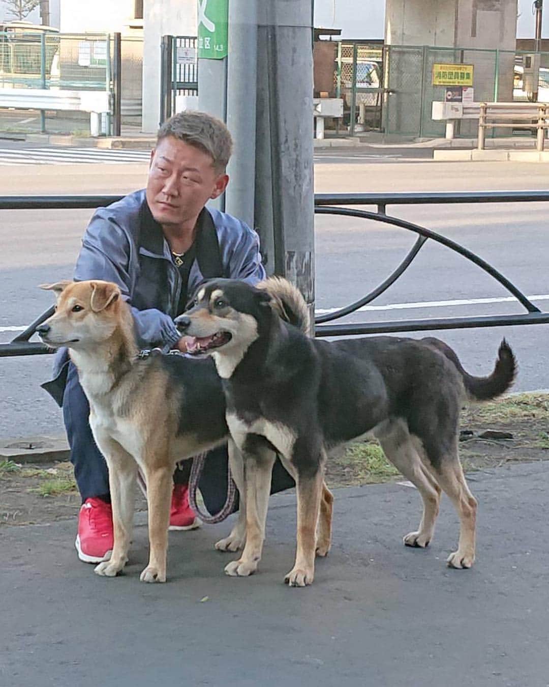 中田de翔さんのインスタグラム写真 - (中田de翔Instagram)「. 兄弟の狂犬病の注射を打ちに病院へ行き完全に疲れ切った俺の顔を晒す。 . ブラッド(右)が注射嫌がって4人で抑えてやっとできた . ホントに疲れた . #猫より犬 #なんなら猫アレルギー #名前は #弟がブラッド兄がピット #2人で #ブラッドピット #犬のホントの力を知った」4月16日 0時18分 - tsubasa__y