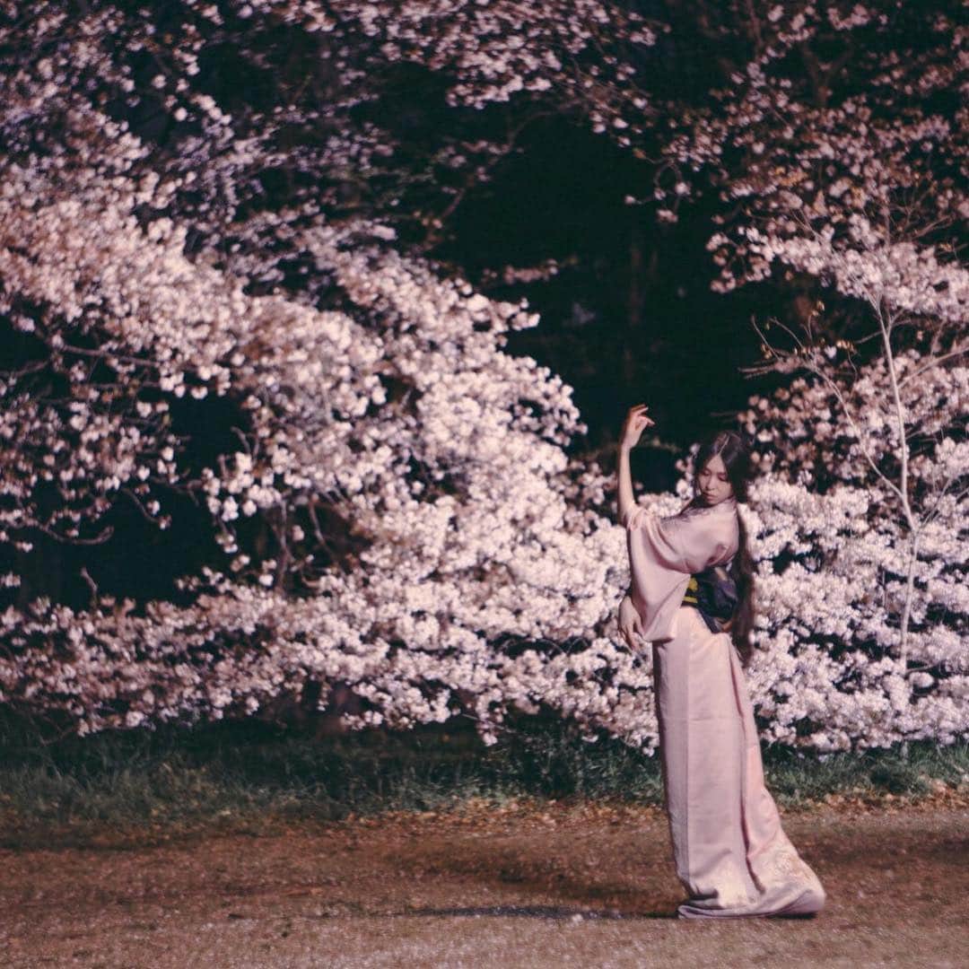 成田沙季のインスタグラム：「もう４月半ば！ 桜も散ってしまったけど桜が咲いていた時の写真📷 ヘアメイクさんの絵のような作品を撮りたいとの要望から、、、夜桜の下で踊りながら。 なんだか幻想の中にいるような不思議な気分でした。  #作品撮り #作品作り #テストシュート #桜 #夜桜 #着物 #和」