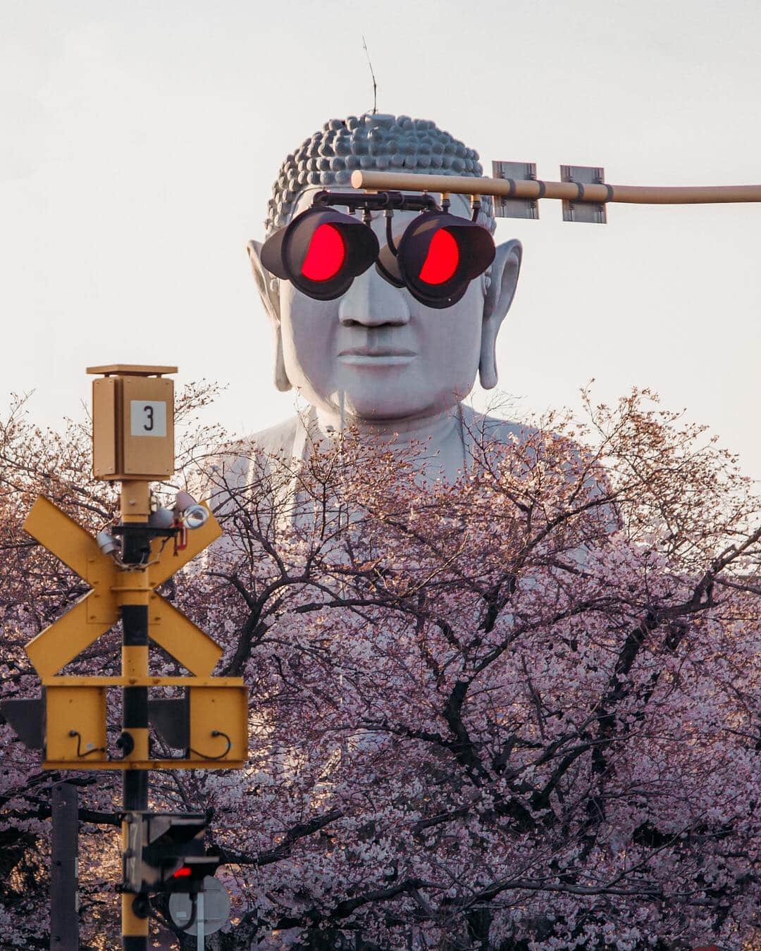 deepskyのインスタグラム：「Sunglasses Buddha」