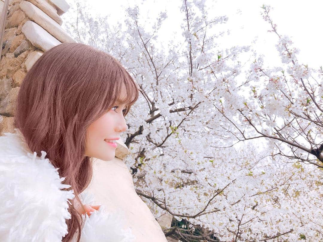 込山榛香さんのインスタグラム写真 - (込山榛香Instagram)「ディズニーシーの前に桜が咲いてたよ🌸﻿ ﻿ ﻿ チケット売り場の横の所！﻿ ﻿ パークに入る前から幸せな気持ちになれた☺️﻿ ﻿  皆さんはお花見した？？ ﻿ ﻿ #桜 #お花見 #春 #ディズニーシー #フォトスポット﻿ #前に行った時のお話﻿ ﻿」4月15日 23時11分 - komiharu_official