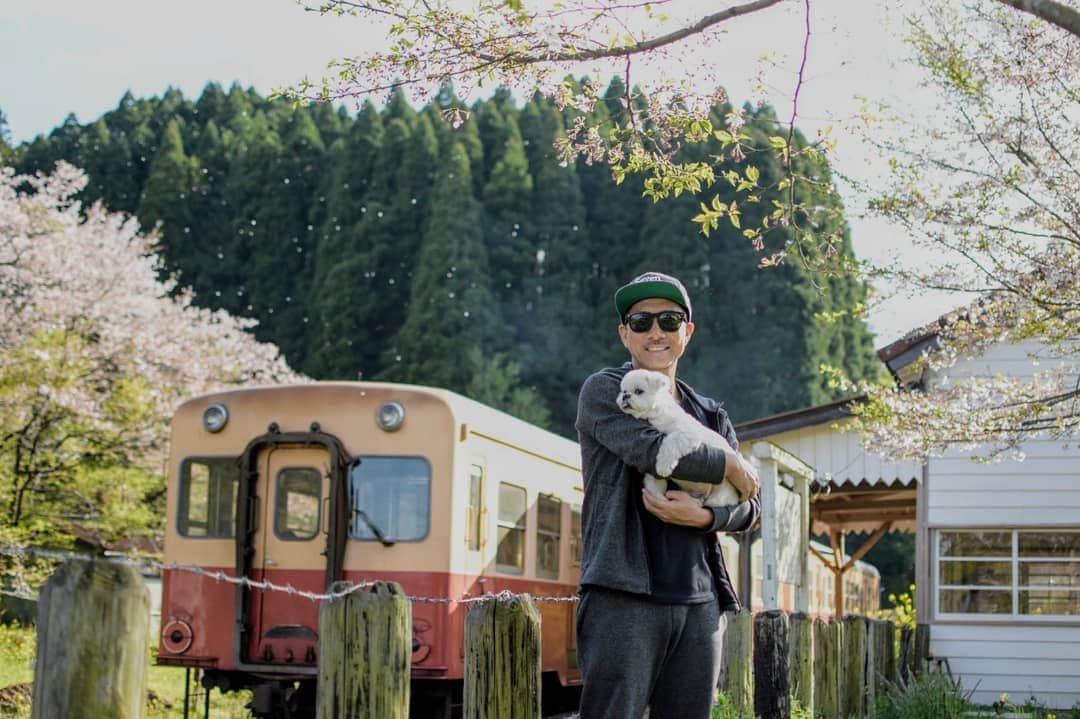 前園真聖さんのインスタグラム写真 - (前園真聖Instagram)「アンジェロと桜と電車🌸🚉 #アンジェロ #ミックス犬 #桜 #電車 #前園真聖」4月15日 23時12分 - maezono_masakiyo