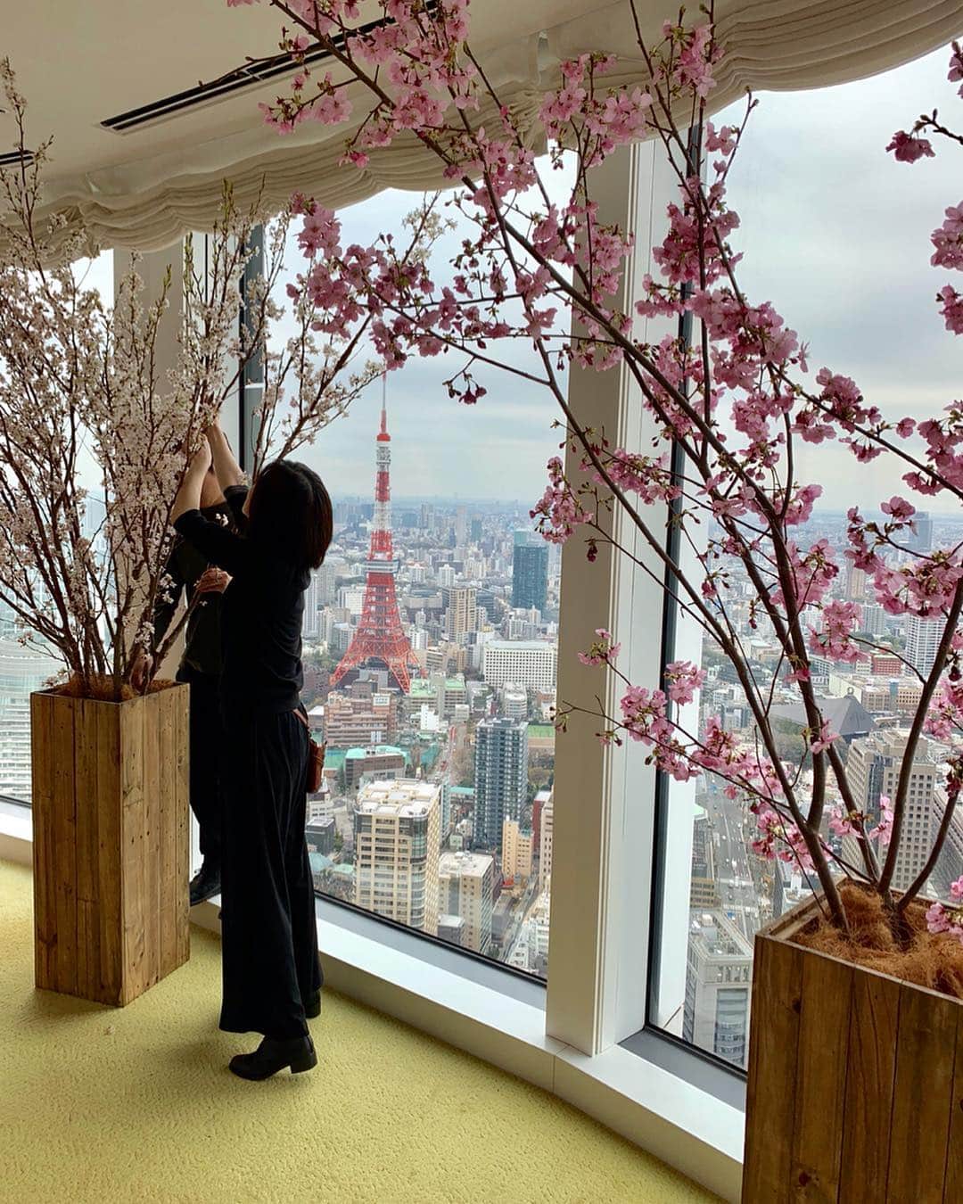 Andaz Tokyo アンダーズ 東京さんのインスタグラム写真 - (Andaz Tokyo アンダーズ 東京Instagram)「Making Sakura Proposals a reality 💍🌸 with @samishome and @veeceecheng 🎉 - Since our first collaboration in 2016, thanks for letting @andaztokyo be a part of your story ❤️ Swipe and check our stories to see more behind the scenes action of our first ever #sakura #proposal 🔨🌲🌸 💕 - 2016年春にご滞在いただいたインフルエンサーのお二人が、思い出の桜の季節にプロポーズのため、アンダーズ 東京に戻ってきてくださいました。🥰 スタッフがお手伝いしたサプライズ大作戦の裏側は、スワイプしてご覧ください。 - 📸@samishome @veeceecheng」4月15日 23時15分 - andaztokyo
