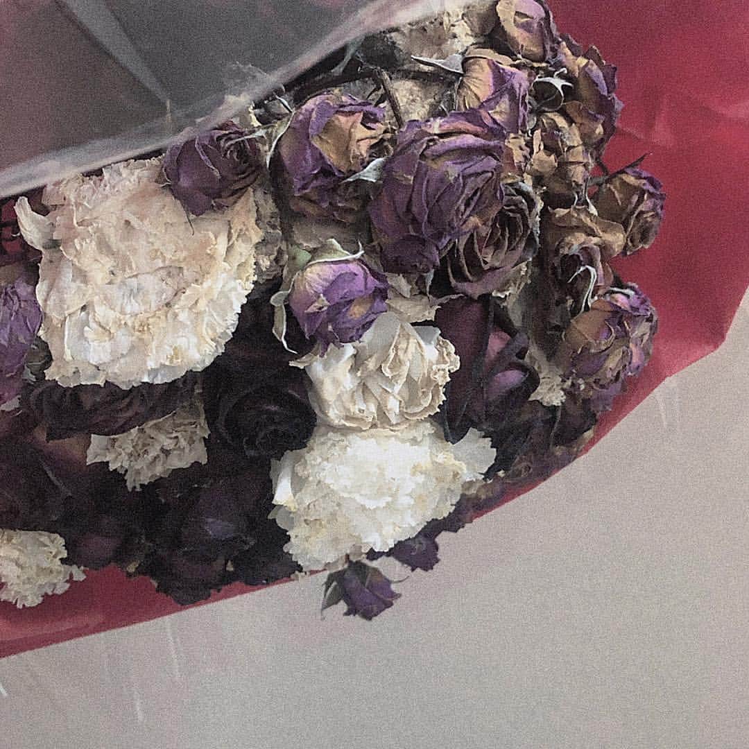 中野愛理さんのインスタグラム写真 - (中野愛理Instagram)「‪❤︎ ㅤㅤㅤㅤㅤㅤㅤㅤㅤㅤㅤㅤ 生誕祭のときに ファンの皆から頂いたお花を ドライフラワーに挑戦中💐♡ ㅤㅤㅤㅤㅤㅤㅤㅤㅤㅤㅤㅤ #ドライフラワー #flower #thx  #ske48 #中野愛理 #followme  ㅤㅤㅤㅤㅤㅤㅤㅤㅤㅤㅤㅤ」4月15日 23時17分 - airi_nakano_