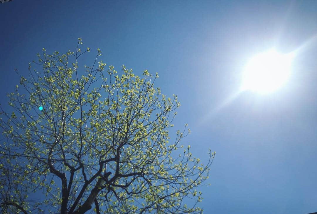 田中皓子さんのインスタグラム写真 - (田中皓子Instagram)「. 天気が良い日は景色も良い 空を見上げたら笑顔になったよ。」4月15日 23時41分 - kouko_0616