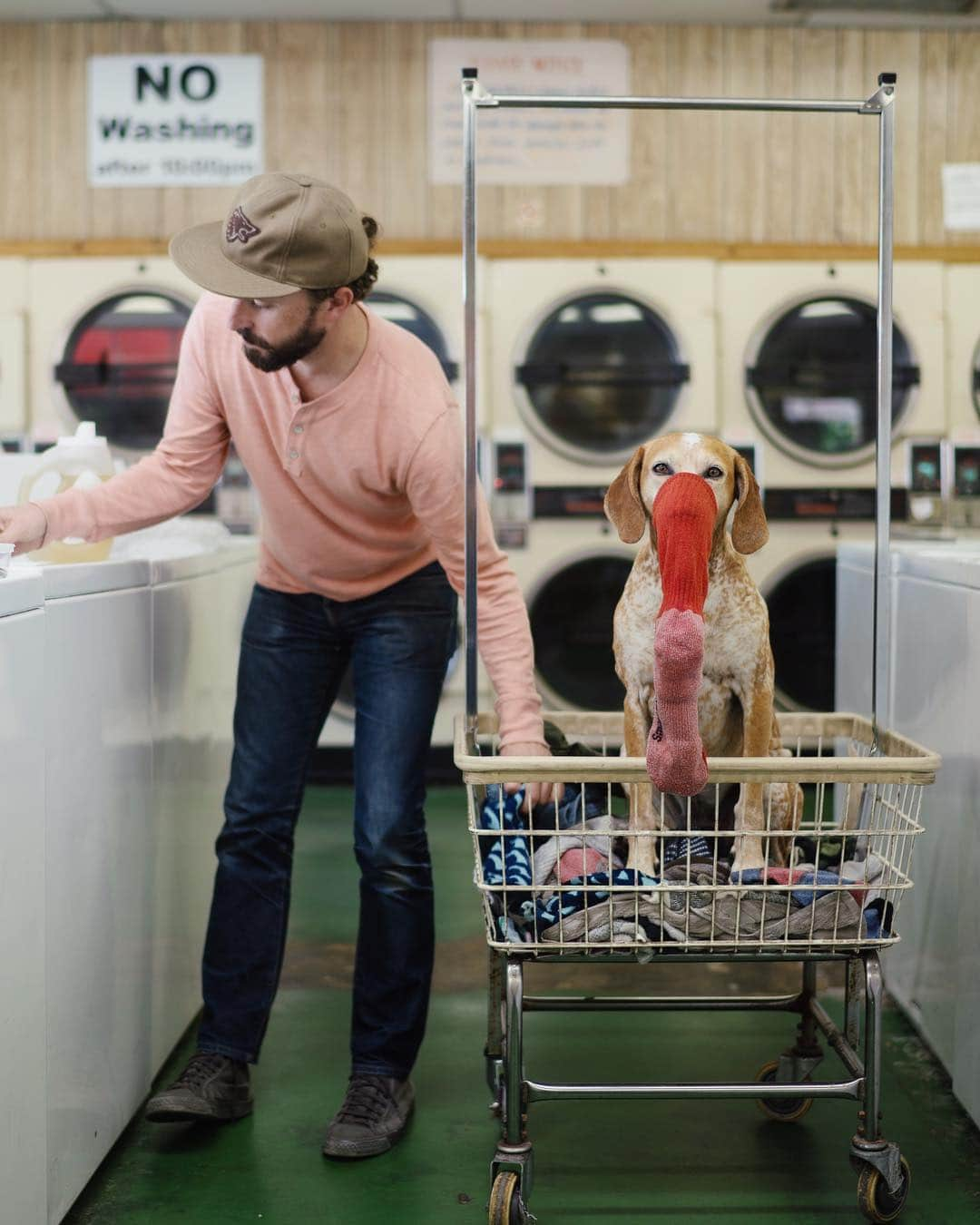 マディさんのインスタグラム写真 - (マディInstagram)「Rate red snouted sock elephant helping uncle John Christian with laundry ✨」4月15日 23時42分 - thiswildidea