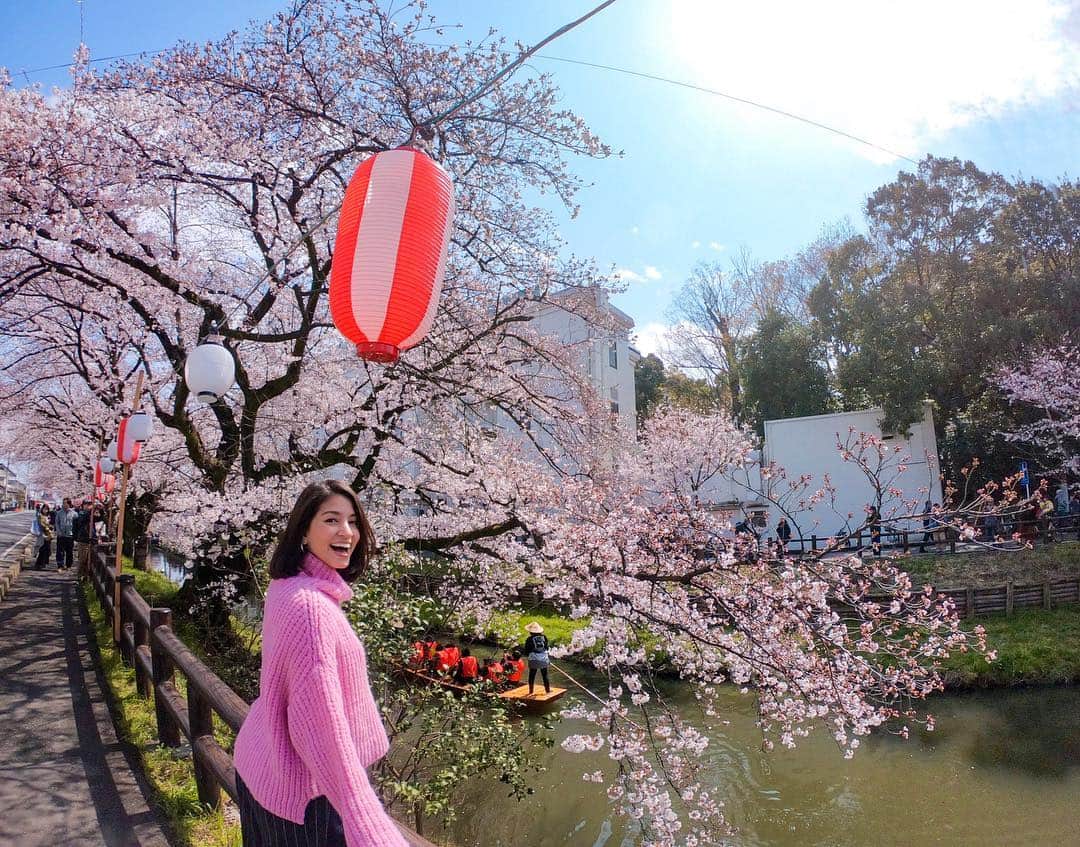 比嘉バービィさんのインスタグラム写真 - (比嘉バービィInstagram)「Beautiful Cherry trees of Shingasi River in Kawagoe, Saitama. . ある日の川越観光。 . #氷川神社 裏を流れる新河岸川の桜並木がキレイだった。 . 桜が散り始めると川が一面ピンクに！ #花筏 は見られなかっものの舟から眺める桜は特別だった♪ . . . #小江戸川越春の舟遊 に参加 #新河岸川 #川越 #埼玉 #小江戸川越 #誉桜 #GoPro #GoRoJP #GoProGirl #GoProTravelJapan  #Japon #primavera #spring」4月15日 15時13分 - barby724