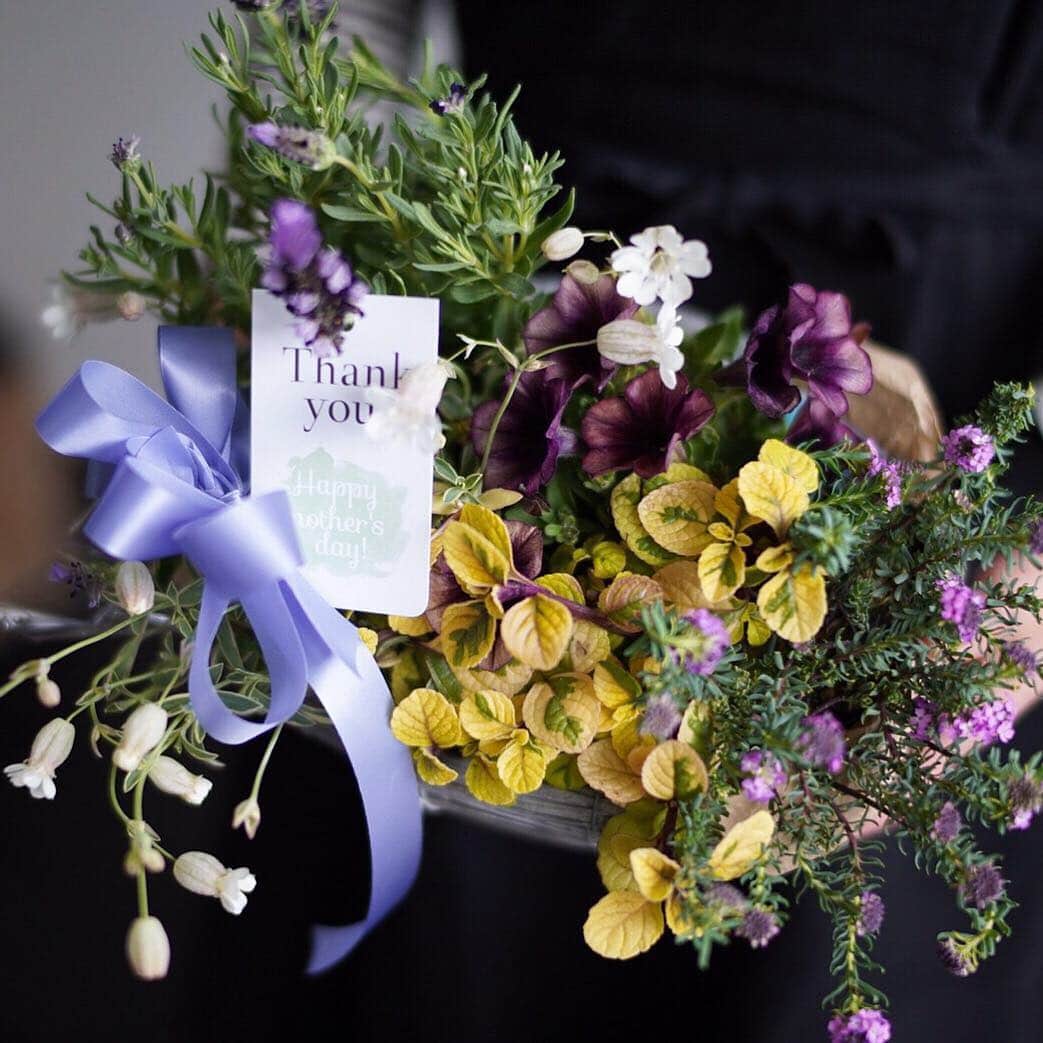 MILLE ECLAT.のグルメインスタ