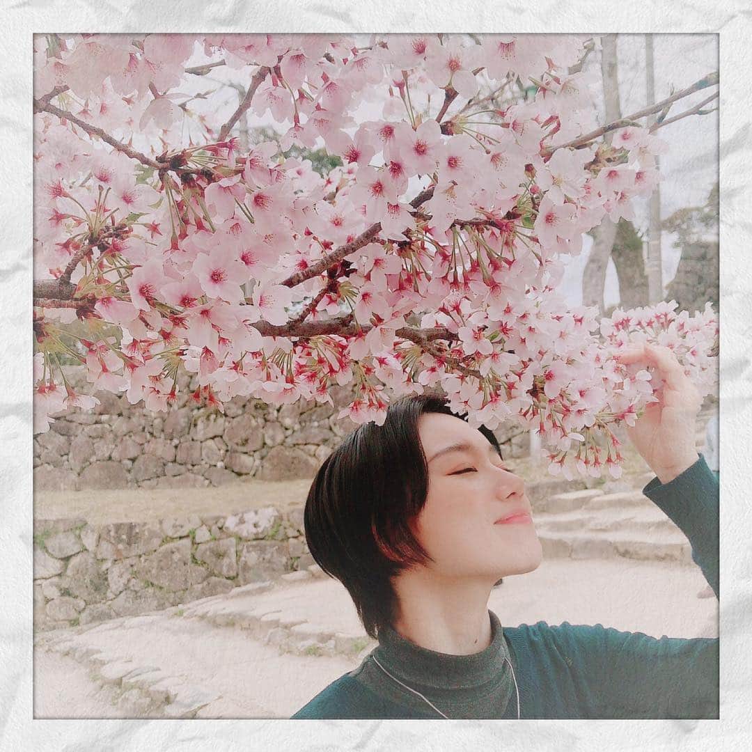 瀬稀ゆりとさんのインスタグラム写真 - (瀬稀ゆりとInstagram)「お次は滋賀県、彦根へ🌸  まだ桜も頑張ってくれていました☺️ 綺麗だったなぁ。  #のんびり #滋賀 #彦根 #桜」4月15日 15時41分 - yurito.seki