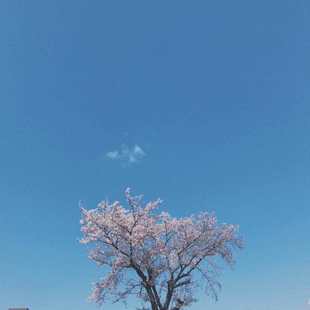 のインスタグラム：「. . instagram、Twitter共に皆さまからの温かいメッセージやいいねを全て受け取りました。改めてたくさんの方に支えられて今の私がいるのだと感じることができました。本当にありがとうございます。新たな気持ちで、またここから私らしく突き進んでいこうと思いますので、引き続き応援のほど宜しくお願い致します！ . #名倉七海 .」