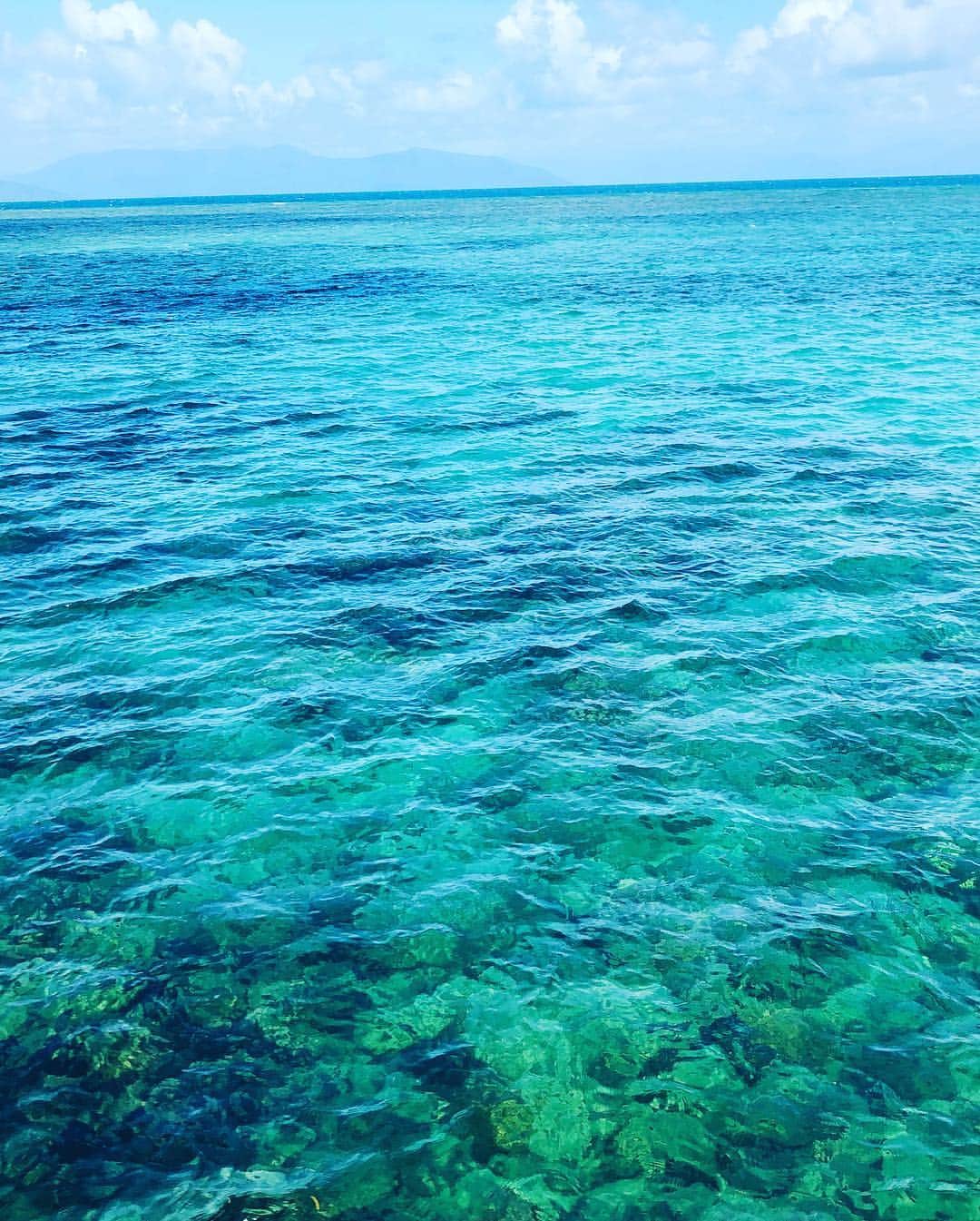 夏奈子さんのインスタグラム写真 - (夏奈子Instagram)「宇宙から確認できる地球上でただ一つの生命体👽 グレートバリアリーフ❤️ 海が大好きやから 最高な景色でした！！！ 360度海！！ どこみても綺麗な海と珊瑚🏖  その広さは、 約340,000平方キロメートル。長さは2,300キロメートルを超えます。 なんと、日本列島の北海道から九州までとほぼ同じ大きさ‼️ シンジラレナーイ‼️ 写真が下手くそでつたわらないけどww 空からみても最高‼️ #世界遺産 #自然遺産 #GBR #グレートバリアリーフ #世界最大の珊瑚礁 #ケアンズ #オーストラリア #地平線 #GreatBarrierReef #海 #sea #Beautiful #最高 #一生で一度は見たい #人生楽しんだもん勝ち  #現実離れ #instagood #instadiary #instalike #instamood #instalove #instafollow」4月15日 15時49分 - chankana0609