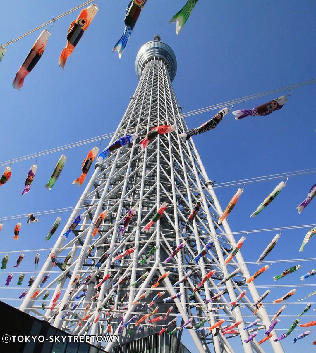 TOBU RAILWAY（東武鉄道）さんのインスタグラム写真 - (TOBU RAILWAY（東武鉄道）Instagram)「. 🚩Tokyo Skytree℠ 🚩東京スカイツリー® 🚩스카이트리® . [Tokyo Skytree℠ Koinobori Festival 2019] . On May 5th, we celebrate "Children's Day" in Japan. On this day, there is a custom of decorating Koinobori (carp streamers) to pray for children's health and future. You can also see Koinobori in Tokyo Skytree Town from April 12th to May 6th. The colorful Koinobori flying in the blue sky is very beautiful. Please enjoy it. Venue: Tokyo Skytree Town 4F SKYTREE . . 【도쿄 스카이트리® 고이노보리 페스티벌 2019】 . 5월 5일 일본에서는 '어린이 날'을 축하합니다. 이 날 어린이의 건강과 장래를 기원하며 잉어 모양 깃발인 고이노보리를 장식하는 풍습이 있습니다. 도쿄 스카이트리 타운 내에서도 4월 12일부터 5월 6일까지 고이노보리를 보실 수 있습니다. 푸른 하늘을 유영하는 알록달록한 고이노보리가 매우 아름답습니다. 꼭 즐기시기 바랍니다. 장소: 도쿄 스카이트리 타운 4층 스카이트리 . . . #tobujapantrip #japan #tokyo #tokyoskytree #koinobori #tripgram #japanesestyle  #cooljapan #photo_travelers #jp_gallery  #japantrip #tokyoevent #worldcaptures #travelingram #bestjapanpics #lovejapan #japan_of_insta  #art_of_japan_ #beautifuljapan #japaneseculture #풍경스타그램#여행스타그램#일본여행#여행스냅#여행#도쿄스카이트리 #고이노보리 #도쿄」4月15日 15時54分 - tobu_japan_trip