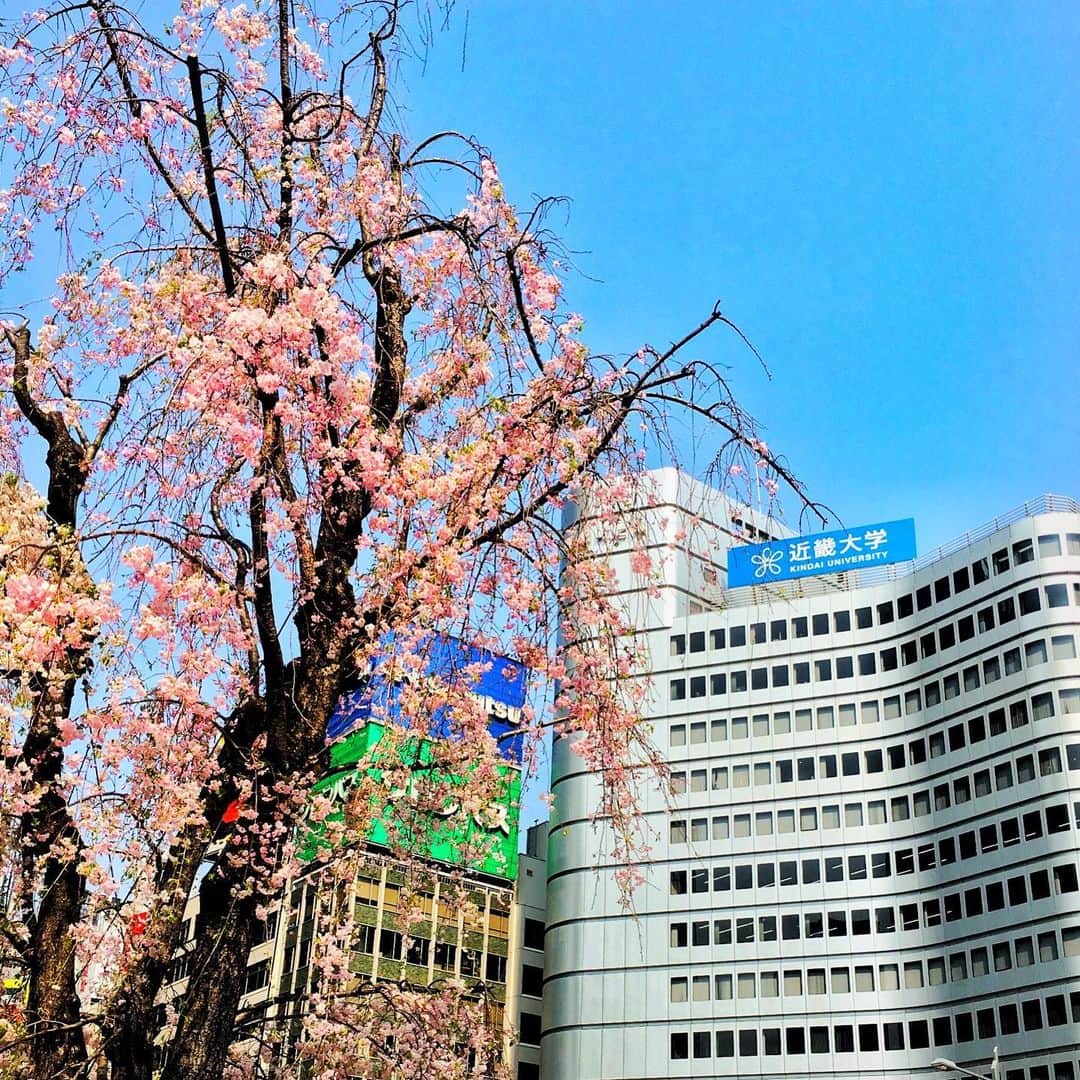 近畿大学総務部広報室のインスタグラム