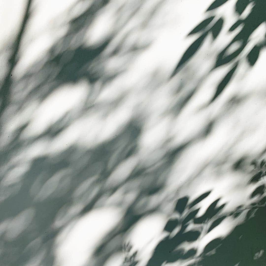 Sonoko Suzukiさんのインスタグラム写真 - (Sonoko SuzukiInstagram)「shadow of breeze... * * #週末のこと #shadow」4月15日 15時59分 - _sonnie.co_