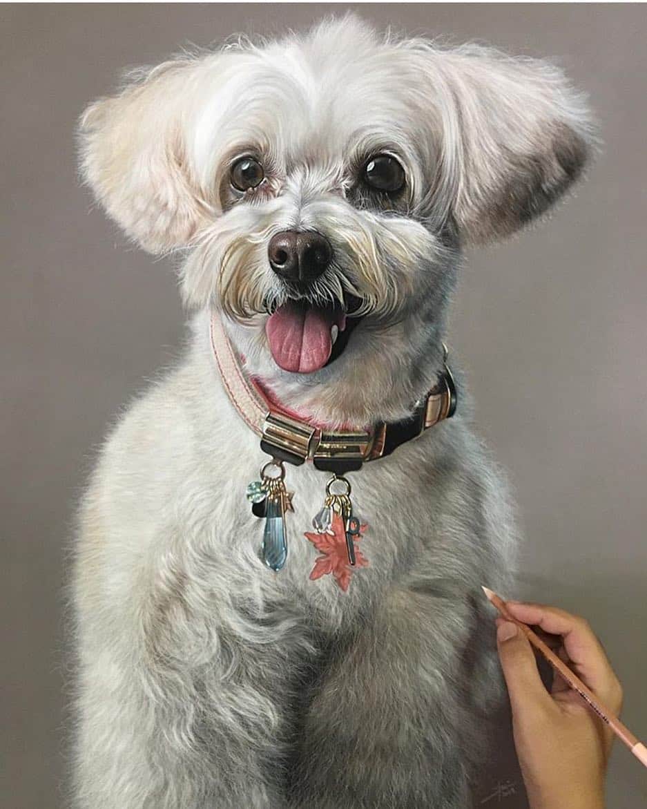 Art Collective Magazineさんのインスタグラム写真 - (Art Collective MagazineInstagram)「Amazing puppy portrait by @ivanhooart 🐶✏️ #artnerd #artcollective」4月15日 16時20分 - art_collective