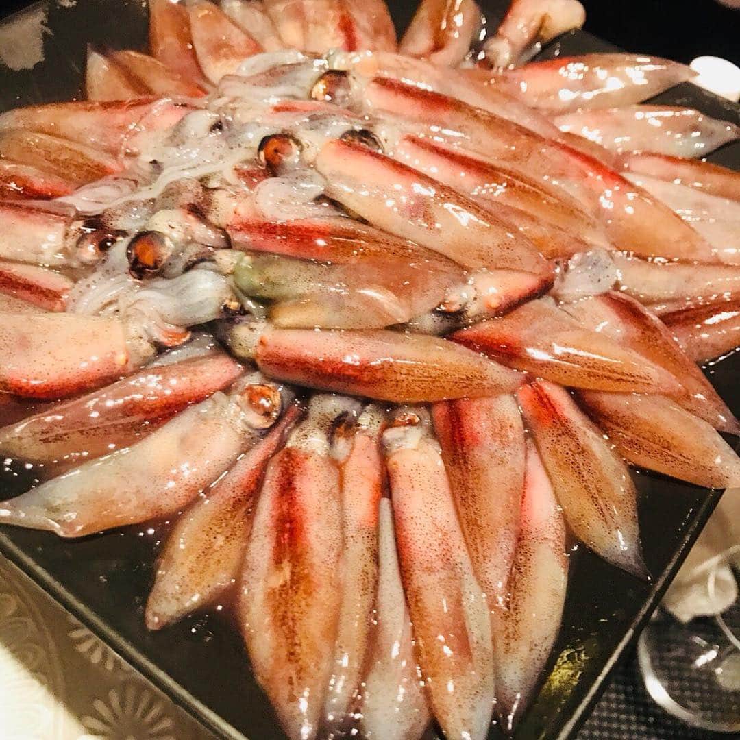 奈美悦子さんのインスタグラム写真 - (奈美悦子Instagram)「ホタルイカの会！しゃぶしゃぶも凄く美味しかったけど最後の炊き込みご飯が絶品、大大大満足でした。 ＃蛍烏賊#ホタルイカ#炊き込みご飯#しゃぶしゃぶ#隠れ家#楽しい仲間と#美味しい夜」4月15日 16時23分 - nami.etsuko