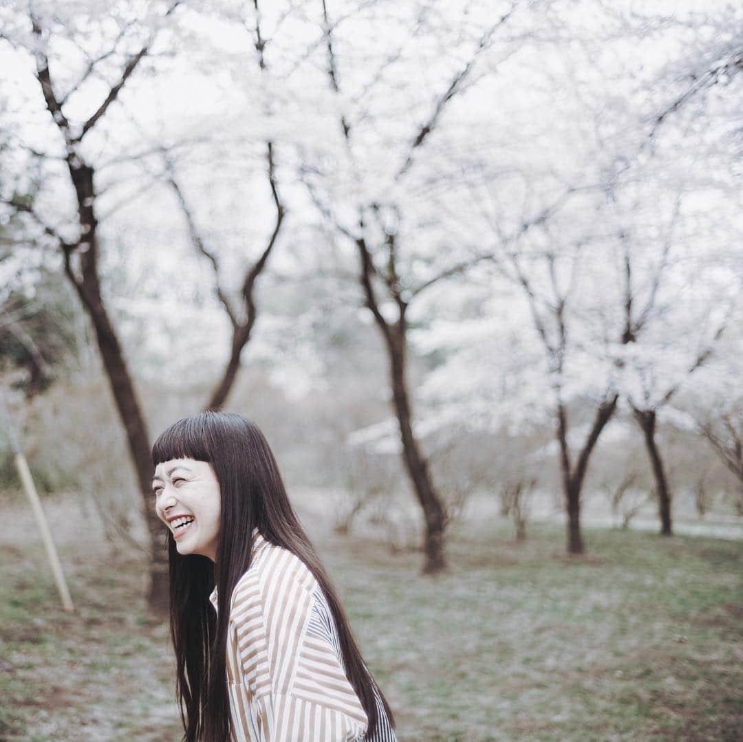市川渚さんのインスタグラム写真 - (市川渚Instagram)「Sakura in full bloom🌸﻿ ﻿ ﻿ ﻿ 千本の桜が咲き誇る赤城南面千本桜。満開でした。しかし楽しい週末だったなあ。 ﻿ ﻿ #sakura#cherrybloosom#満開の桜#🌸#桜#赤城南面千本桜#sonya#a7ii#voigtlander#nokton35mm」4月15日 16時31分 - nagiko