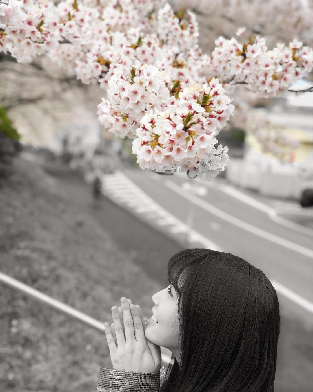 奈良未遥さんのインスタグラム写真 - (奈良未遥Instagram)「…Sakura  #新潟 #やすらぎ堤 #NGT48 #奈良未遥 #桜」4月15日 16時41分 - mihapiyo._.48