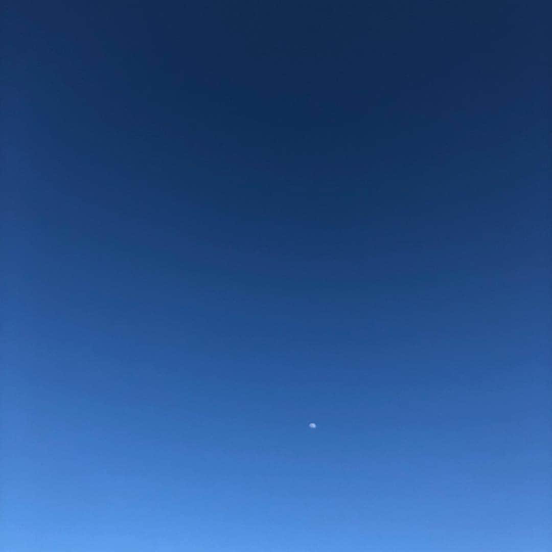 山川のりをのインスタグラム：「今夜は浜松エスケリータ68にてギターパンダ  ライブです。18時/19時、2500円+D /3000円+Dです。共演はspitfire！お近くの方々会いにきてアイニージュー！」