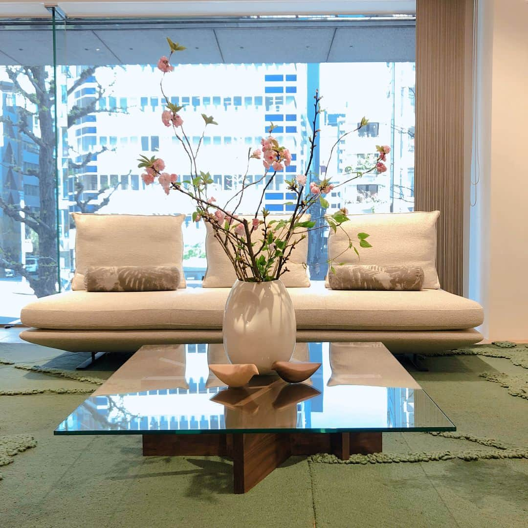 ligne roset shopさんのインスタグラム写真 - (ligne roset shopInstagram)「PRADO sofa, designed by Christian Werner.  #prado × #cherryblossoms  銀座ショップの#prado は春らしく、牡丹桜🌸と。  #ligneroset #リーンロゼ #lignerosetginza #リーンロゼ銀座 #家具 #furniture #インテリア #interior #インテリア好きな人と繋がりたい #フランス #france #christianwerner #sofa #住まい #リビング」4月15日 17時02分 - ligneroset_jp_shop