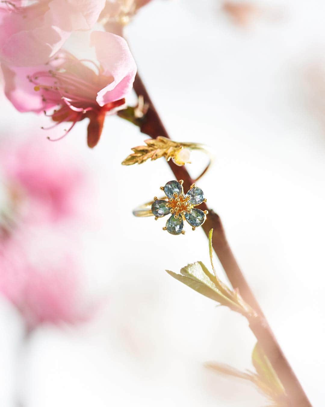レネレイドさんのインスタグラム写真 - (レネレイドInstagram)「Let the radiant beauty of Spring wrap around your hands... Introducing a most poetic ring from the Golden Fields collection, by Les Néréides.  #LesNereidesParis  #SpringJewelry #FrenchJewelry #Rings #CostumeJewelry #FloralJewelry」4月15日 16時50分 - lesnereidesparis