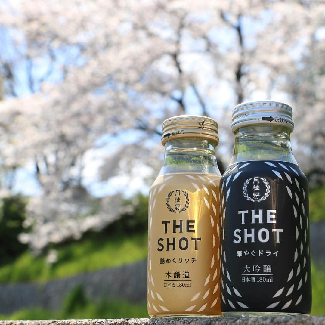 Gekkeikan Sake Officialさんのインスタグラム写真 - (Gekkeikan Sake OfficialInstagram)「. ----- Gekkeikan THE SHOT ----- Gekkeikan THE SHOT brings out the new values of Japanese liquor using fresh brews, new bottles, and a new way of drinking. Comes in an original 180mL bottle that sets it apart from other Japanese liquor and gives it its own look. Its originality offers a stylish way of drinking that is novel for Japanese liquor and reminiscent of shot bottles of Western liquor. . *Available in 180mL at JPY 250. (Now for sale) . . photographed on Apr. 5 . #月桂冠THESHOT #月桂冠 #gekkeikan #gekkeikansake #THESHOT #cherryblossom #cherryblossoms #cherry #cherries #sakura #flower #florals #flowers #spring #bloom #blossom #bloomingseason #japan #kyoto #fushimi #桜 #月桂冠大倉記念館 #京都 #伏見」4月15日 17時00分 - gekkeikansake