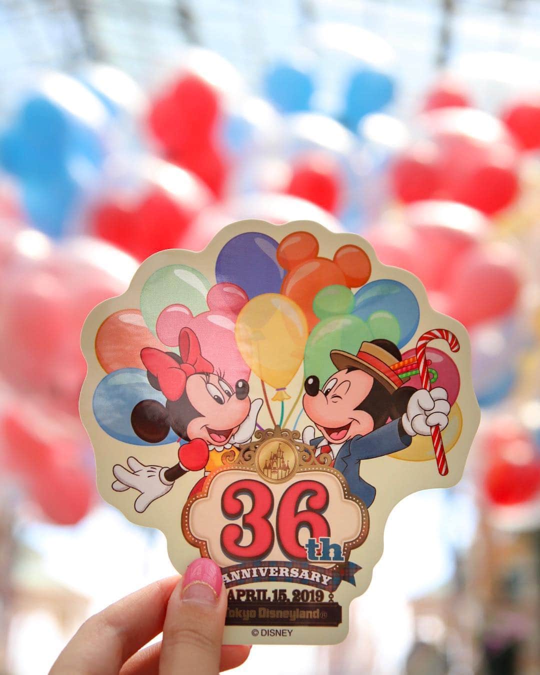 Hatamaさんのインスタグラム写真 - (HatamaInstagram)「＊ ＊  無事に36周年グッズをGETできて大満足🎈  #tokyodisneyresort #tokyodisneyland  #disneygram #disneygoods #grandemporium #mickeyballoons #balloon #mickeyballoon #disneyballoons #ミッキーバルーン #ディズニーバルーン #バルーン#ディズニーグッズ #グランドエンポーリアム #東京ディズニーランド開園記念日 #ディズニー好きな人と繋がりたい #ディズニー好きな人と仲良くなりたい #カメラ女子 #ディズニー女子」4月15日 17時00分 - hatama_1118