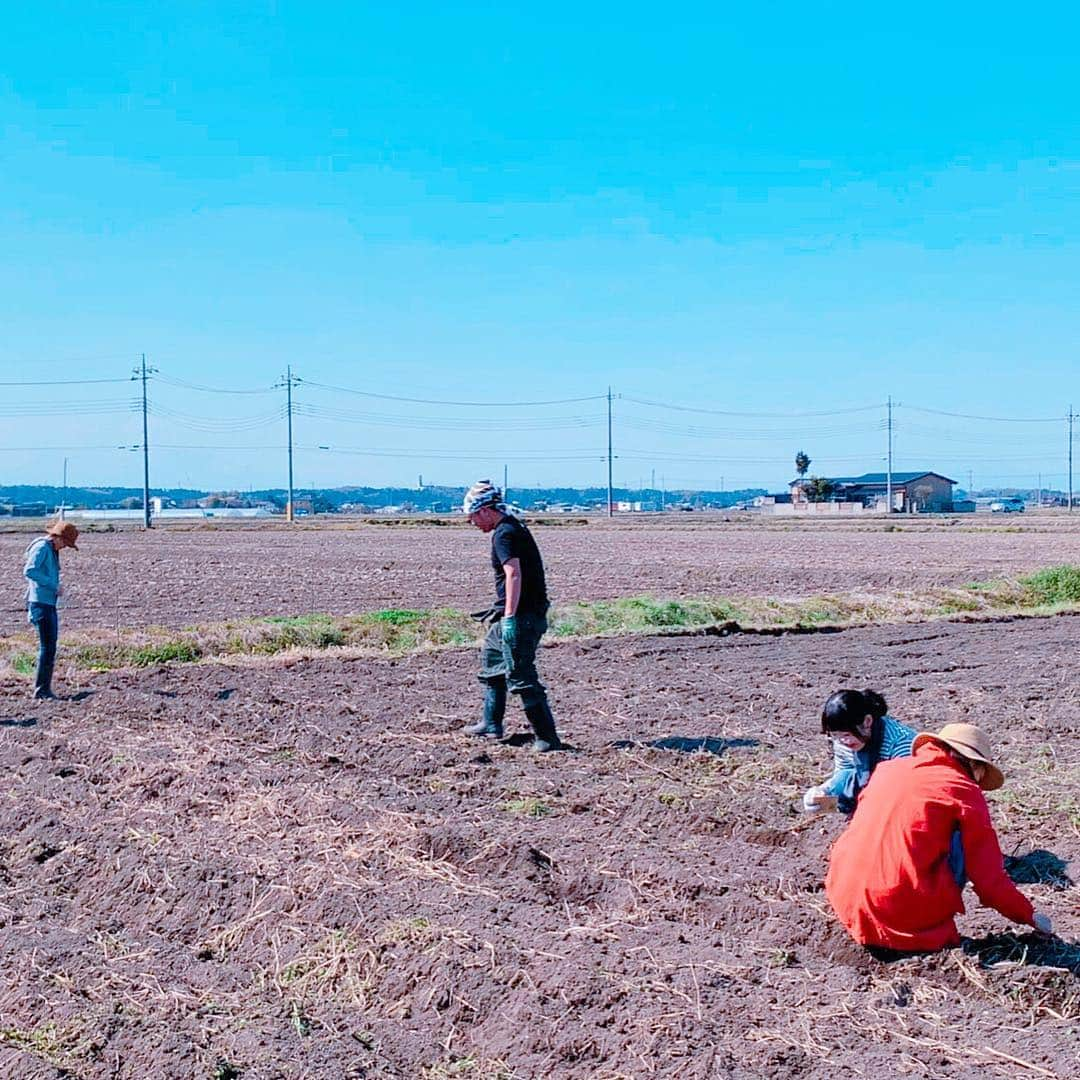 川瀬良子さんのインスタグラム写真 - (川瀬良子Instagram)「13日（土）に、 栃木県真岡市の畑に行ってきました〜🌈 『農縁プロジェクト』@nouenpj 平成最後の作業！ （動画1つ、写真6枚あります🌵） ・ まずは昨年のトマト、ピーマンなど枯れた株、 支柱の撤去。 そして、トラクターで耕して、 畝をみんなで立てて、 野菜の種まき！ ・ 種をまきながら、 仕事や恋愛、たわい無い話をするのですが、 これがまたみんなで農作業をやる 楽しみだったりもします😆👏🏻 ニンジン、スイスチャード、 レタス、バジルなどなど🌱 9畝に、みんなで種をまきましたよ〜！ 芽が出て野菜が成長したら… 畑に緑色が多くなって、 また違う景色になるんですよね～☘️ 成長が楽しみだなぁ～😊 ・ 最後に、 畑のすぐ近くの真岡鐵道のSLも見れました！ 菜の花畑と桜🌸とSL～♪ この季節にしか見られないですからね☀️ 素晴らしい👏🏻 みなさまお疲れ様でした～🌈 ・ ガッツリ農作業をしたので、 次の日もその次の日も 心地良い筋肉痛～😅 ・ 次に農縁の畑に行くときには 「令和」になってるかな～👏🏻 ワクワクしますね～🌱🌱🌱 ・ #栃木県 #真岡市 #農縁プロジェクト #農業 #agriculture #農作業 #農家 さん #畑 #トラクター #土 #畝 #畝立て #種 #種まき #野菜 #芽 #作業着 #workwear #農作業着  #農業女子 #クリフメイヤー #ソラシタ #エーグル #平成最後」4月15日 17時01分 - kawase_ryoko